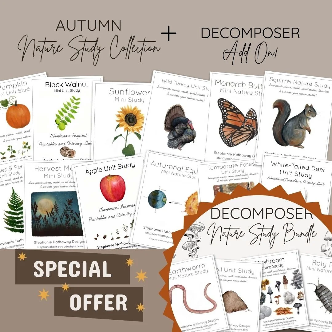 Decomposer Add ON.jpg