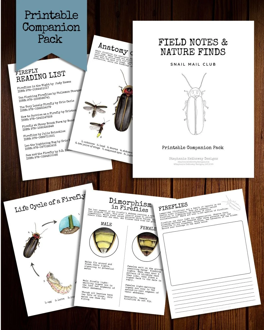 Mockup of the digital firefly companion pack featuring illustrated nature study pages, educational resources, activities, and reference materials.