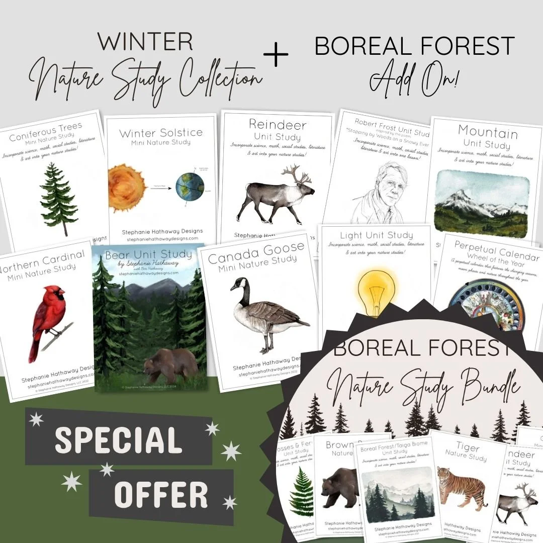 Boreal Forest Add On.jpg