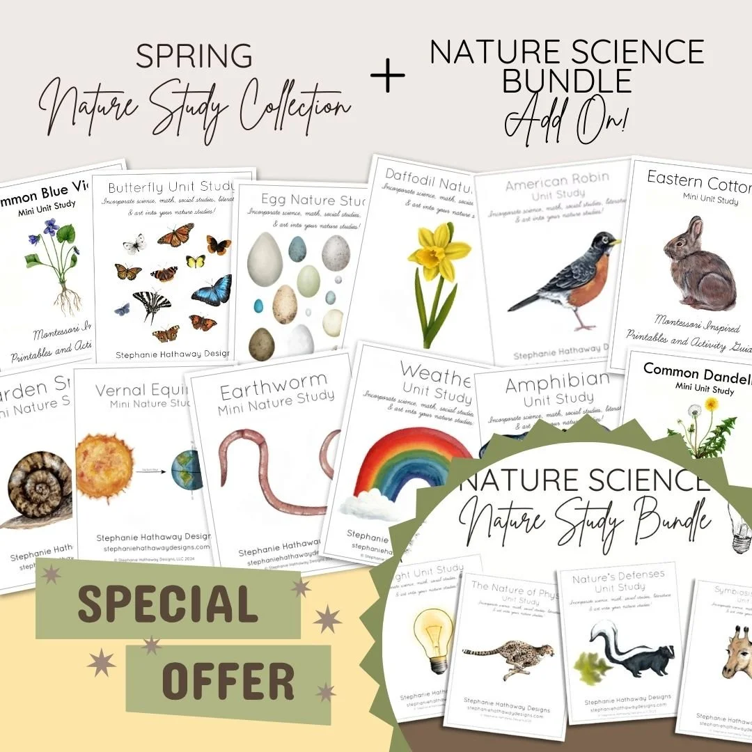 Nature Science Add On.jpg
