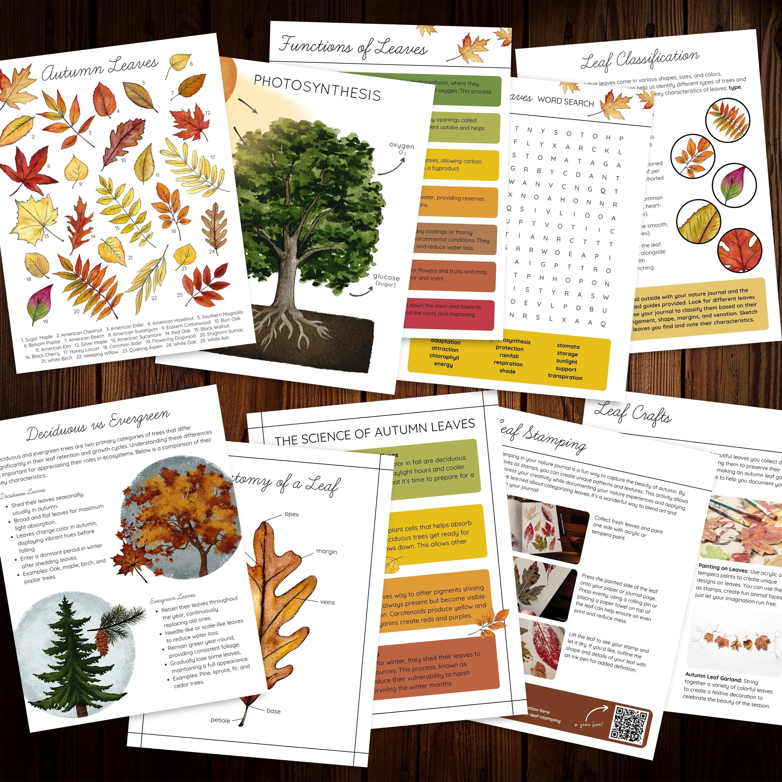 Image showing a group of example pages from the Autumn Leaves Nature Study, including diagrams, worksheets, and illustration activities.