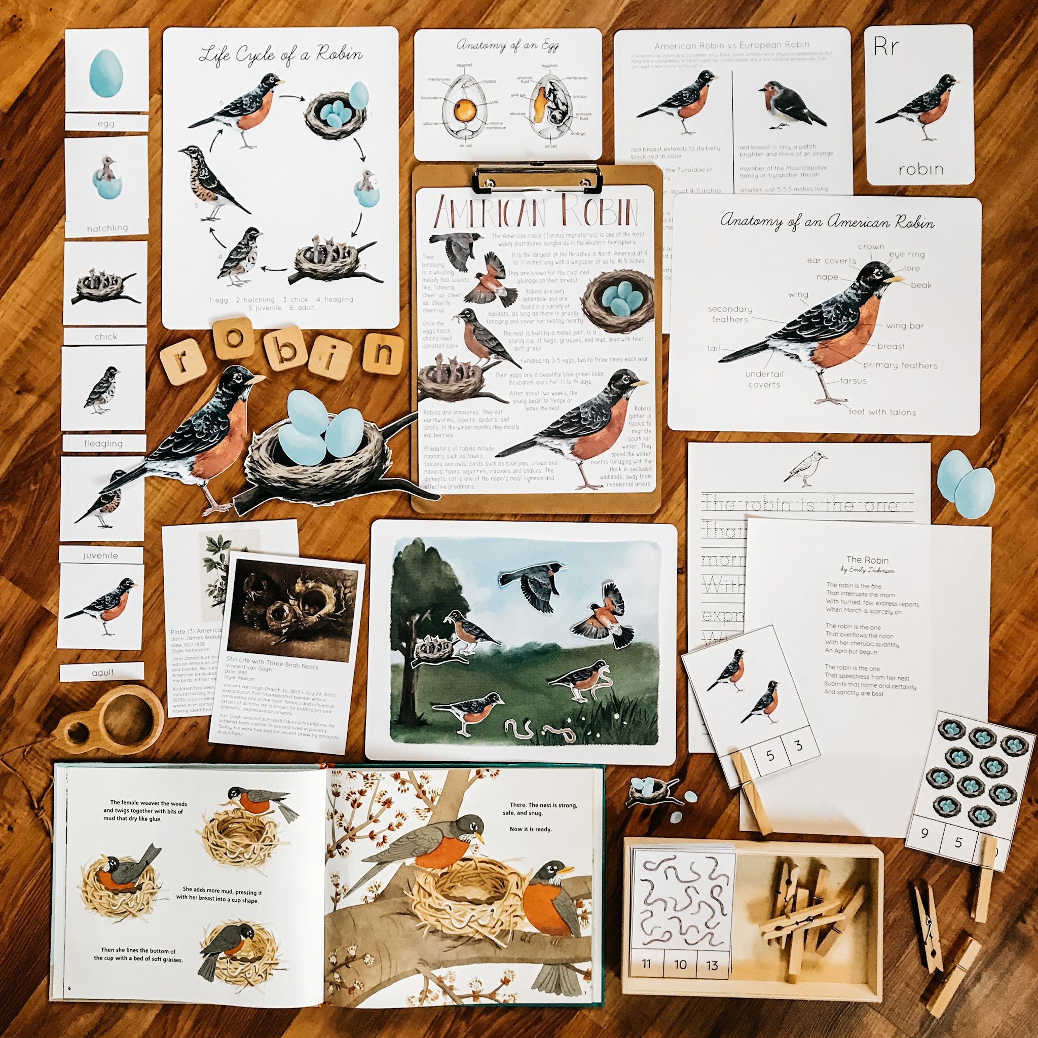 Sample interior pages from the Robin Unit Study showing lessons on bird anatomy, migration, nesting, and seasonal behavior.