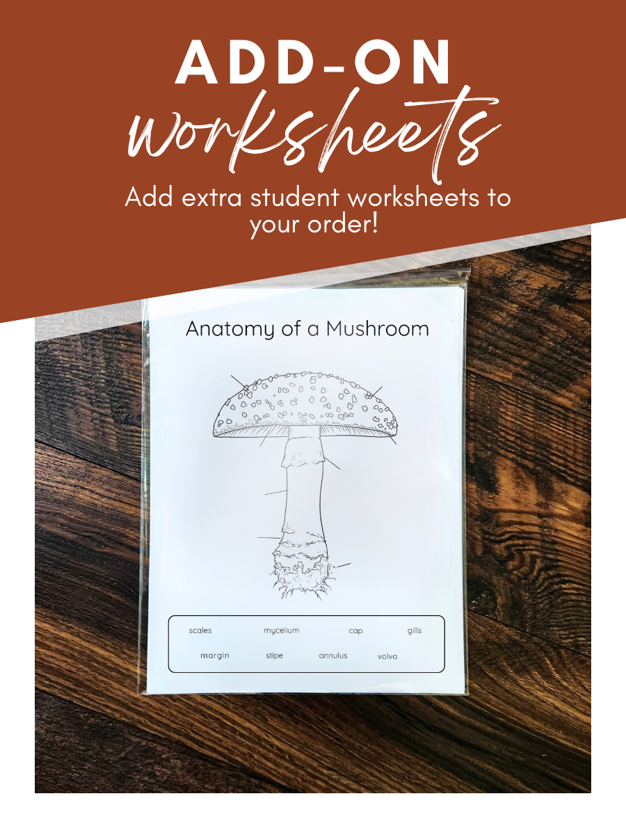 Extra Worksheets Set, Add-On $4.50
