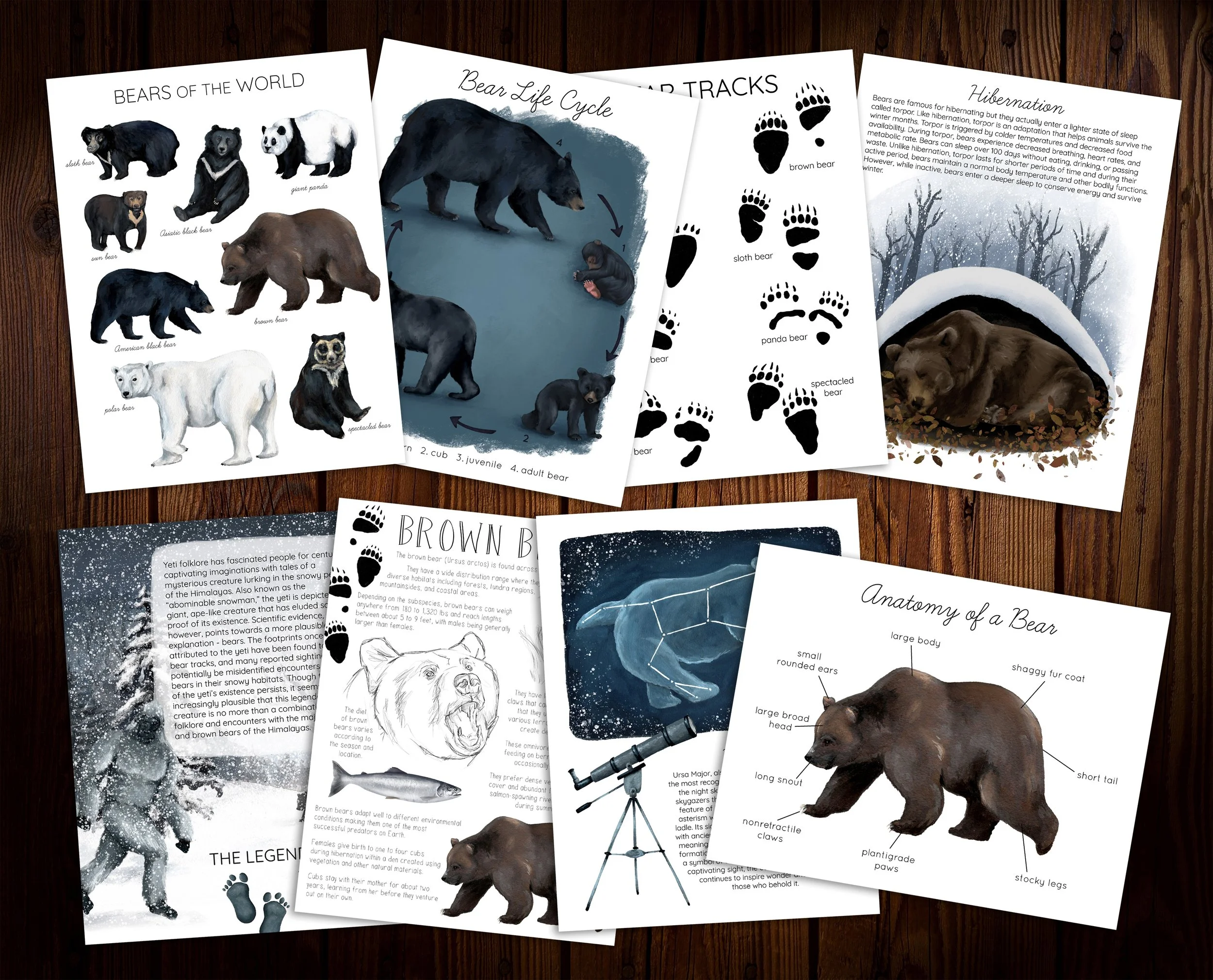 Bears Listing Image 1.jpg