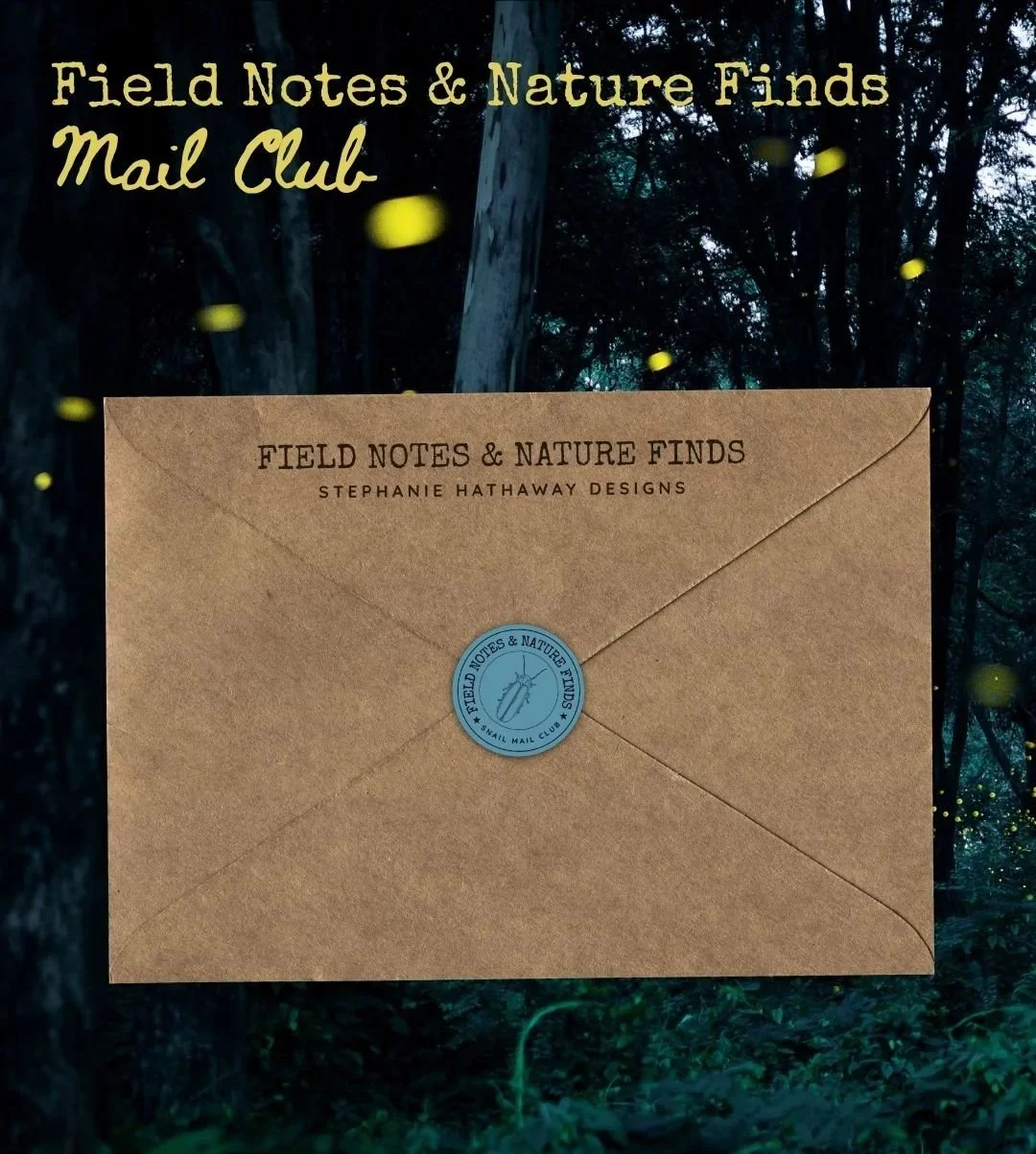 Mock up announcing July's theme: fireflies.