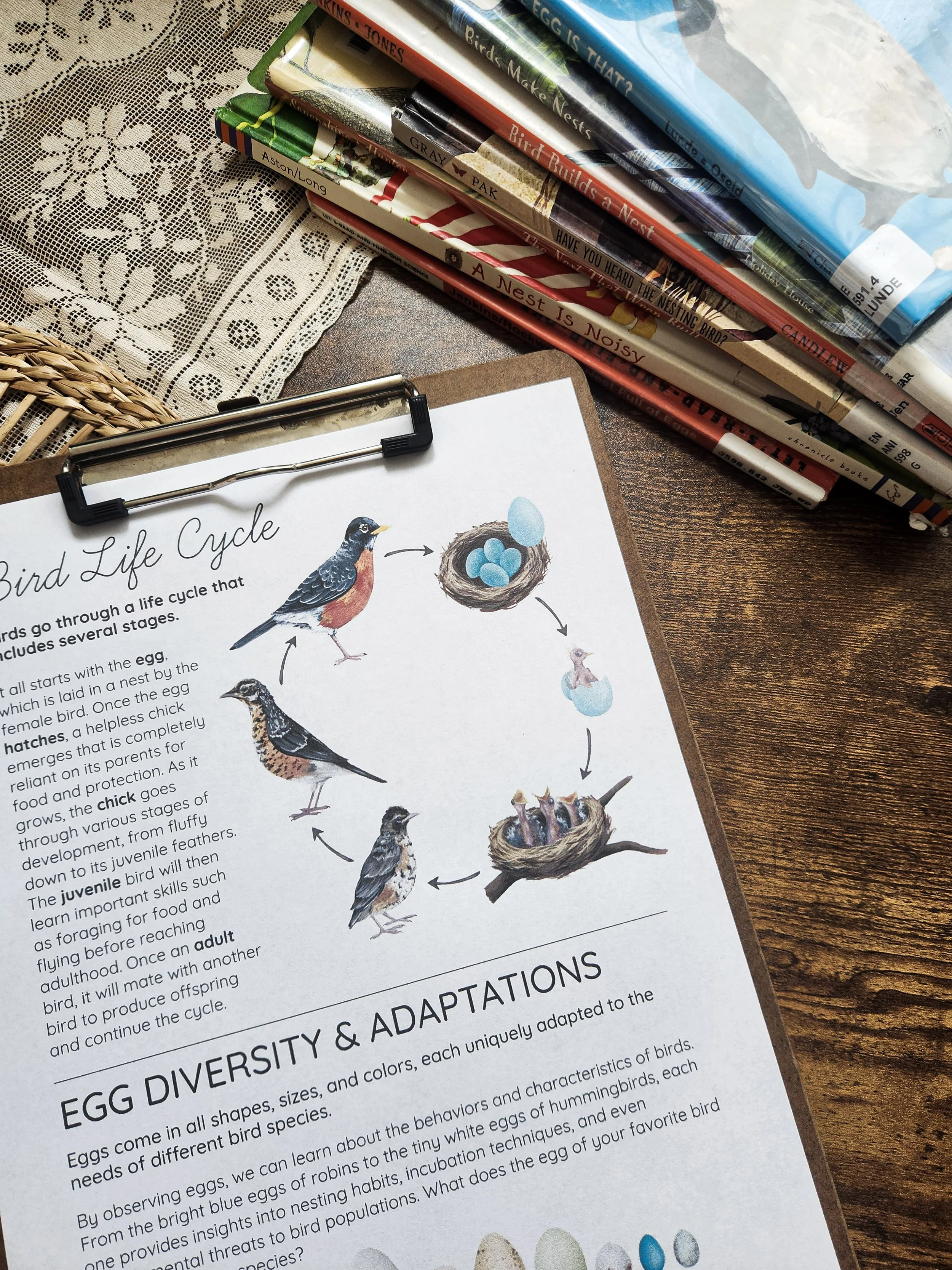 Image featuring some of the books included in the reading list from the lesson.