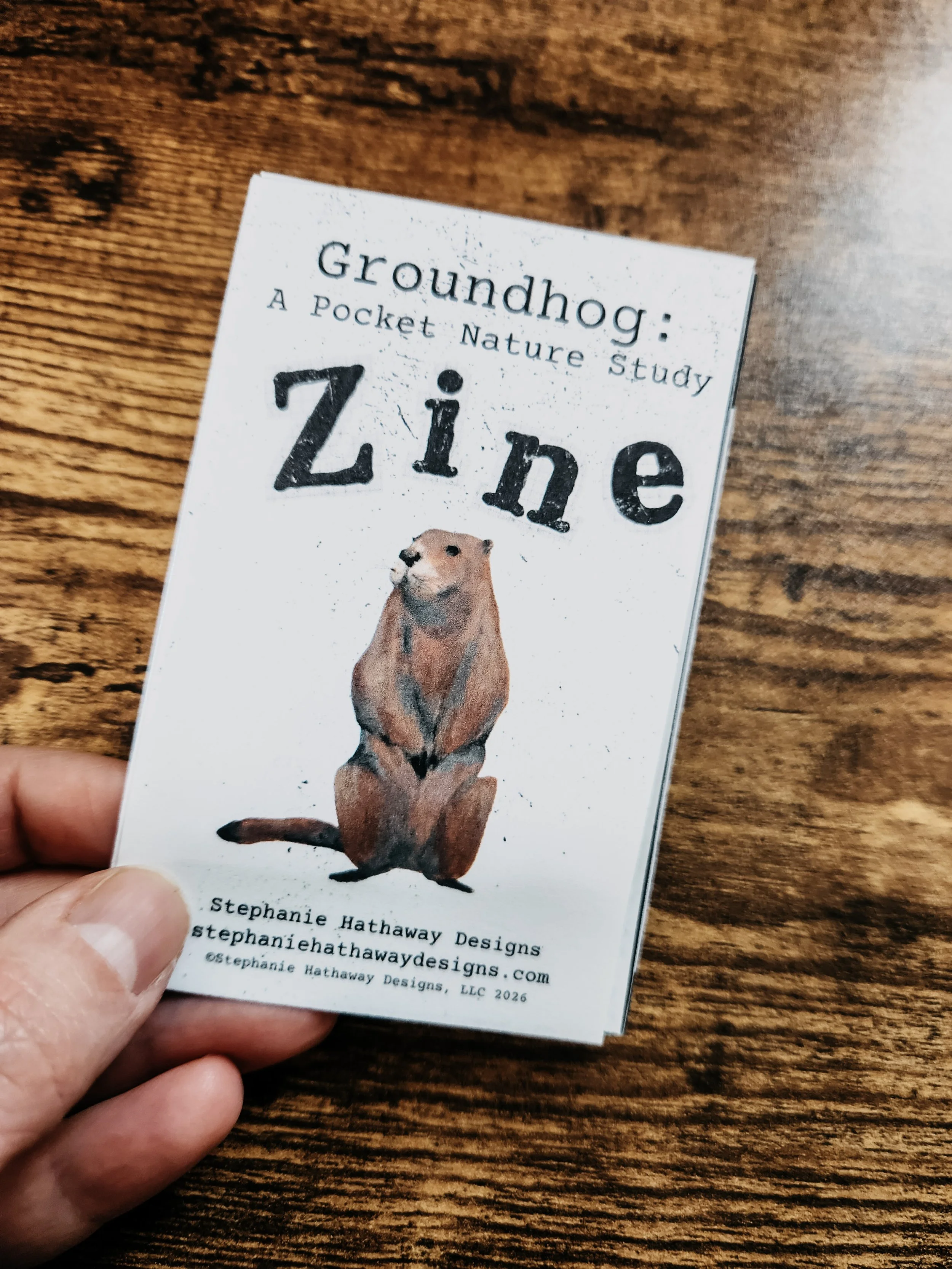 Printed groundhog mini zine folded and displayed, featuring a hand-drawn groundhog on the cover and a simple, kid-friendly layout.