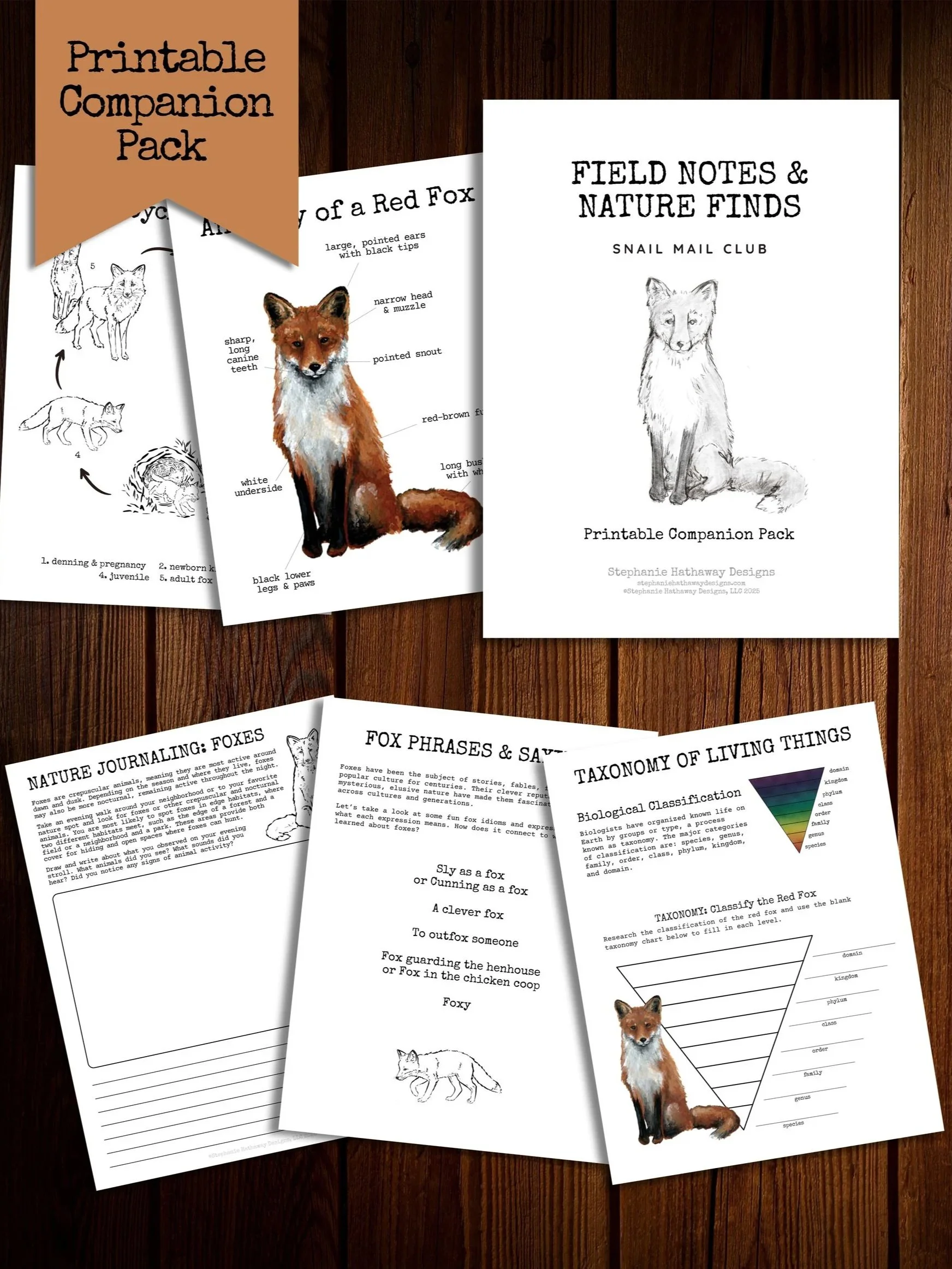 Mockup of the printable digital companion pack