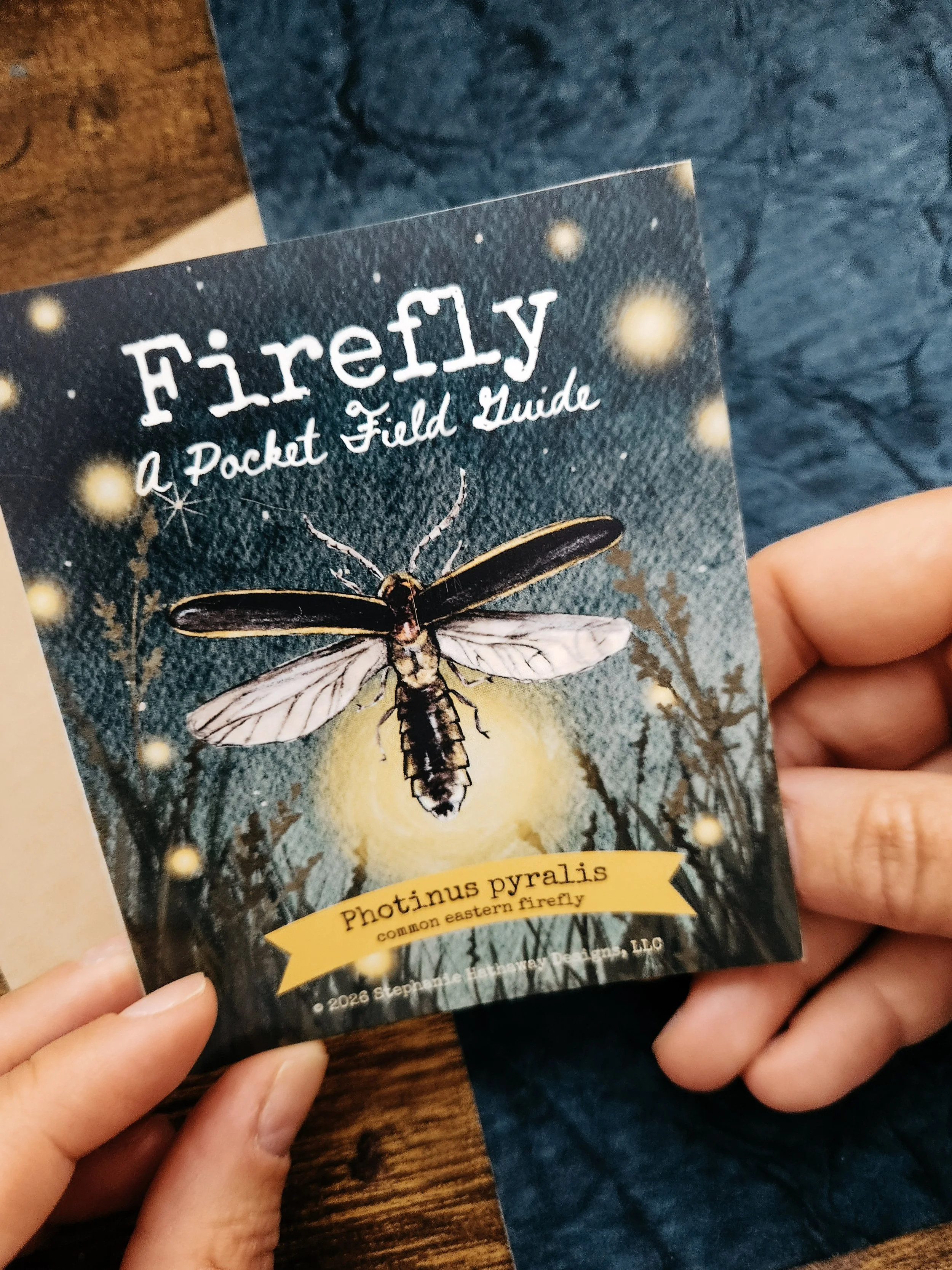 Mini illustrated pocket field guide with facts about firefly anatomy, life cycle, habitat, and bioluminescence.