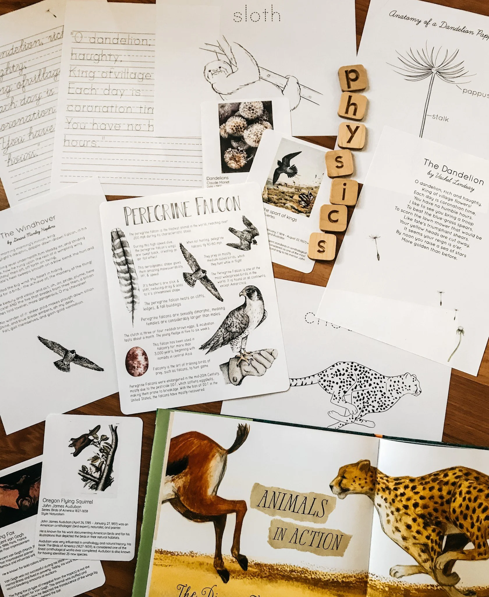 Flat lay image of The Nature of Physics Unit Study materials featuring printed lesson pages.