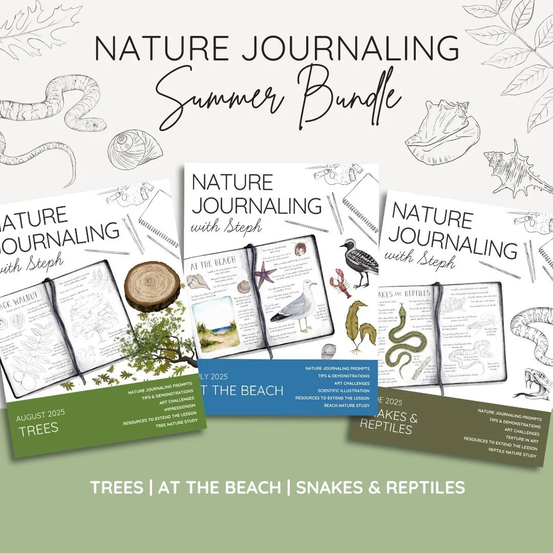 Mockup image of summer themed nature studies bundled together.