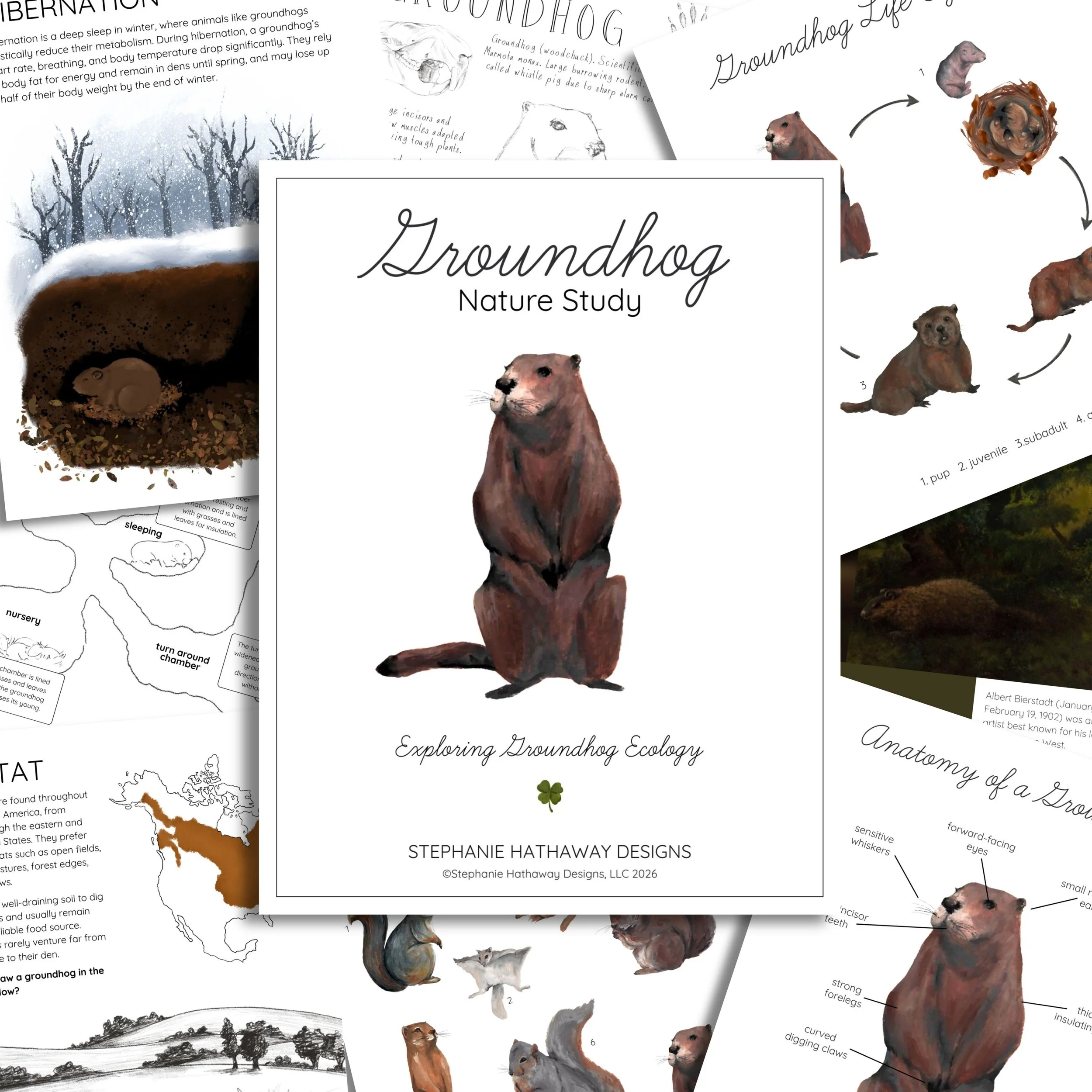 Cover page of the Groundhog Nature Study with a hand-drawn groundhog illustration, plus a preview of several inside pages showing diagrams, worksheets, and nature journaling prompts.