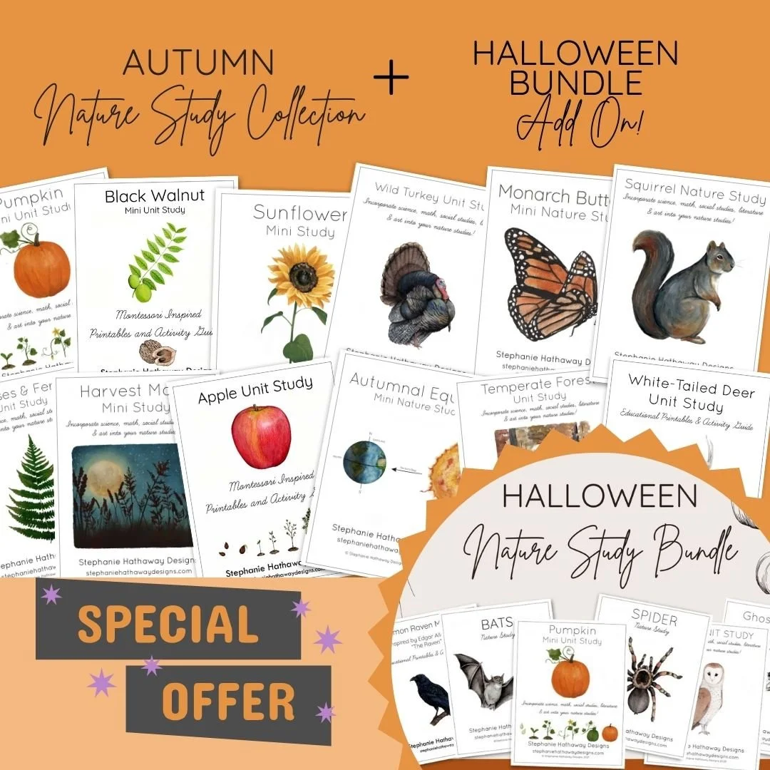 Halloween Add On.jpg