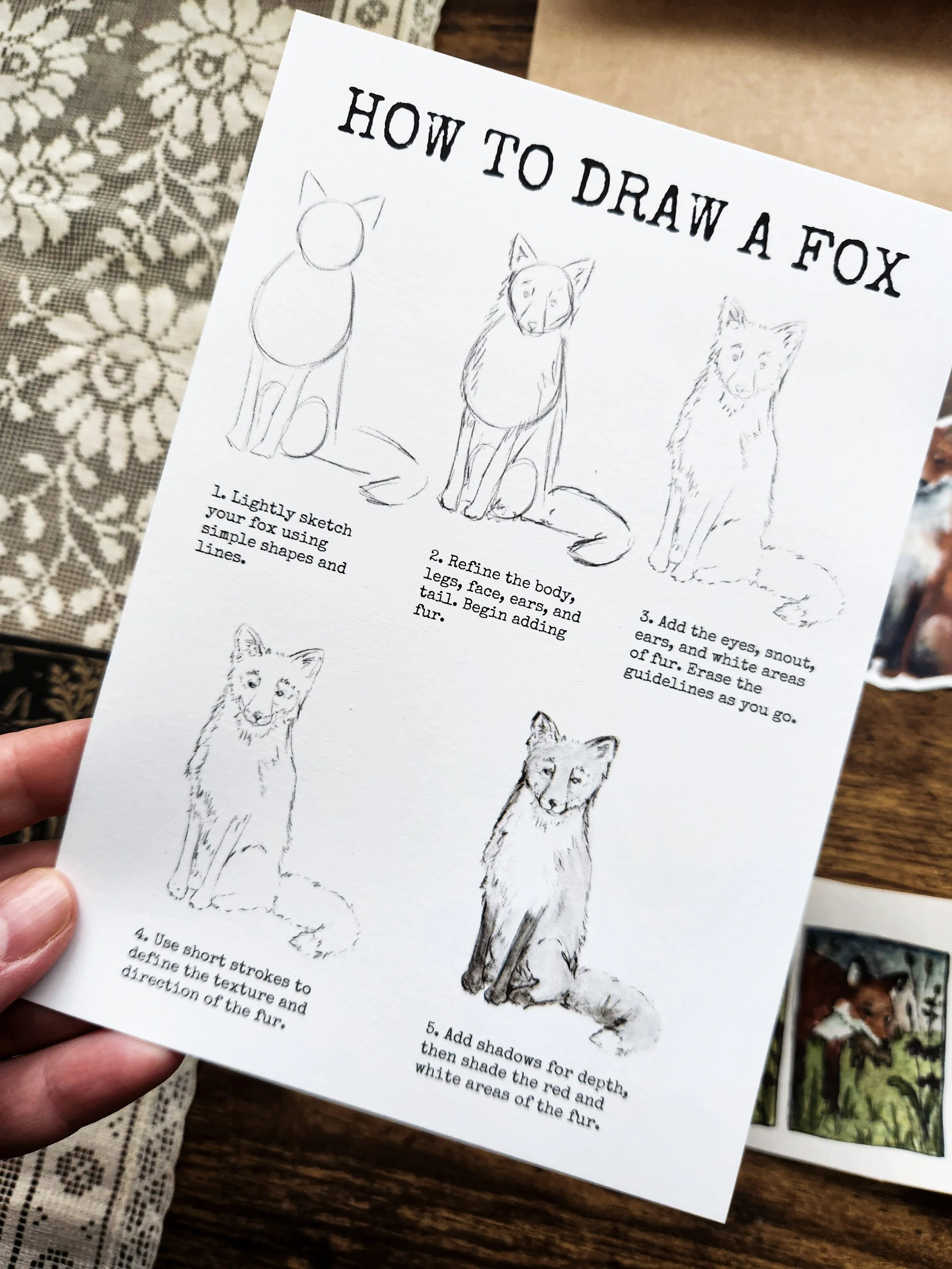 Close-up of How to Draw a Fox guide
