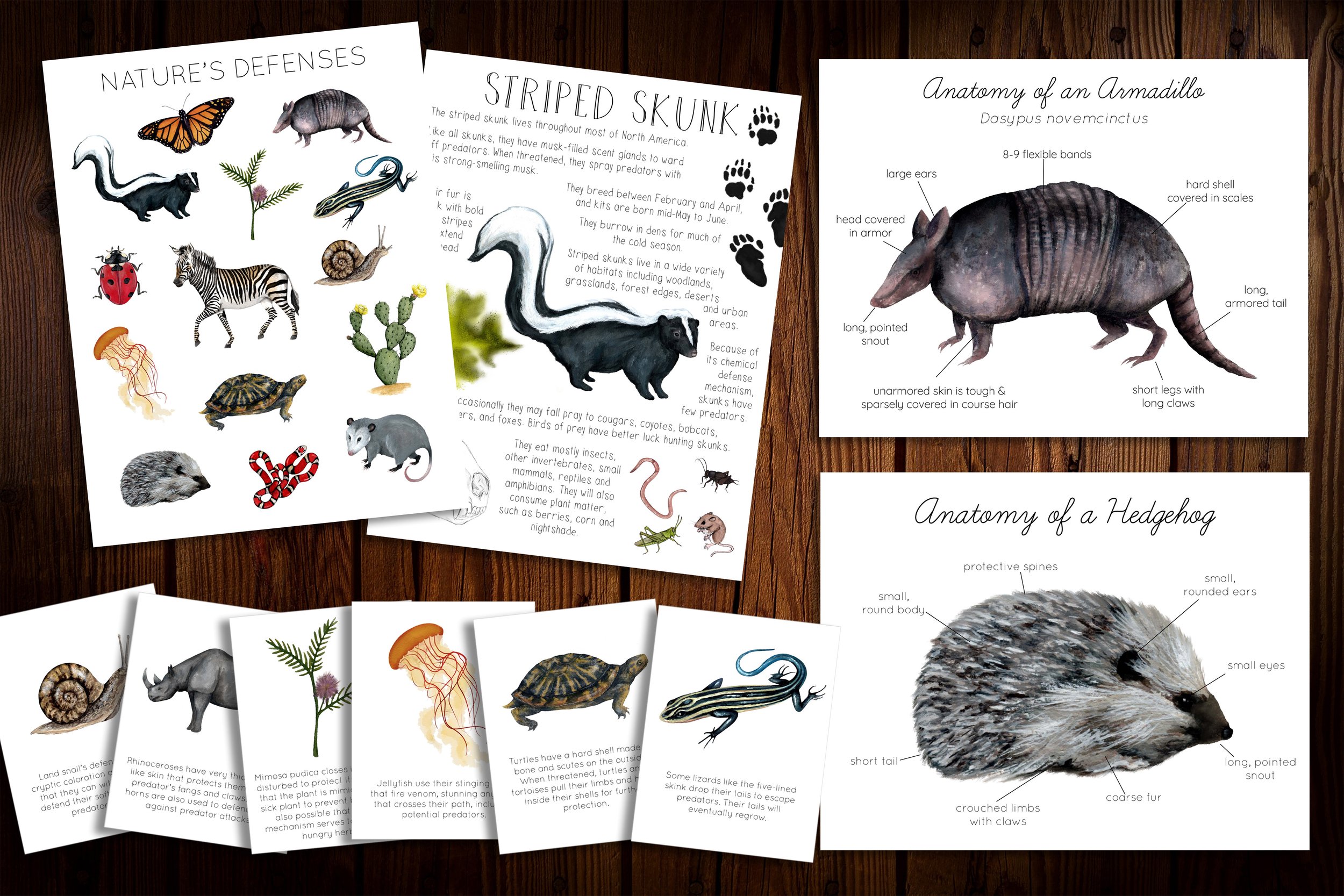 Flat lay image of the Nature’s Defenses Unit Study materials spread out on a neutral background, showing printed worksheets, illustrated pages about plant and animal defense mechanisms.