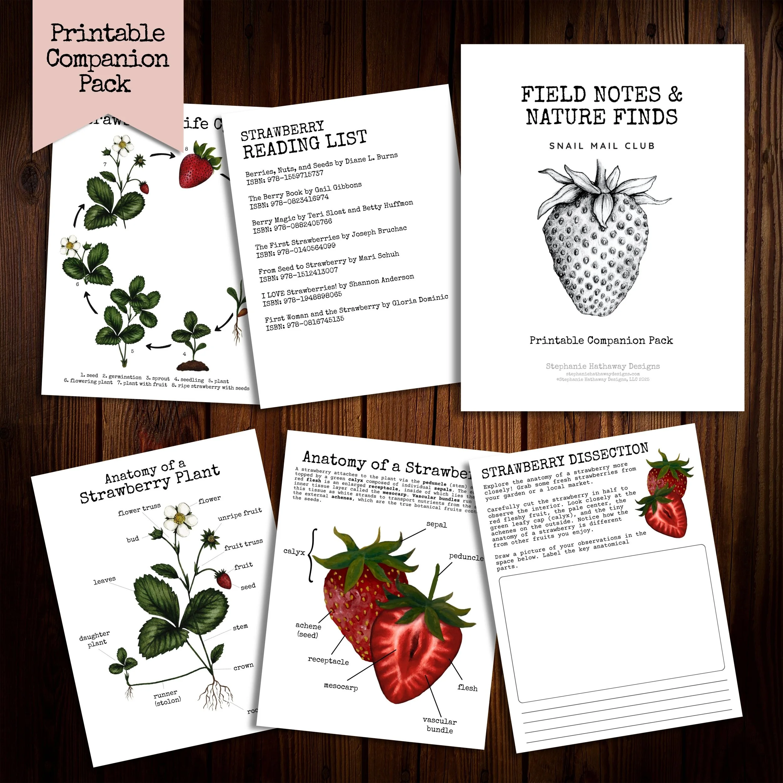 Field Notes & Nature Finds Mockup of everything included in printable compaion.