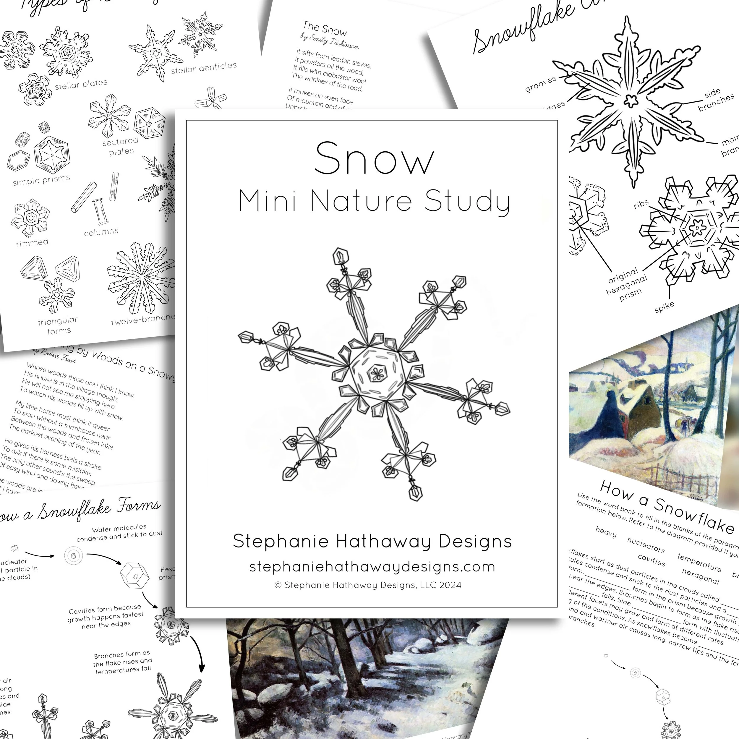 Collection of educational materials including diagrams and a painting related to snow, snowflake forms, and winter scenes, centered around a mini nature study by Stephanie Hathaway Designs.