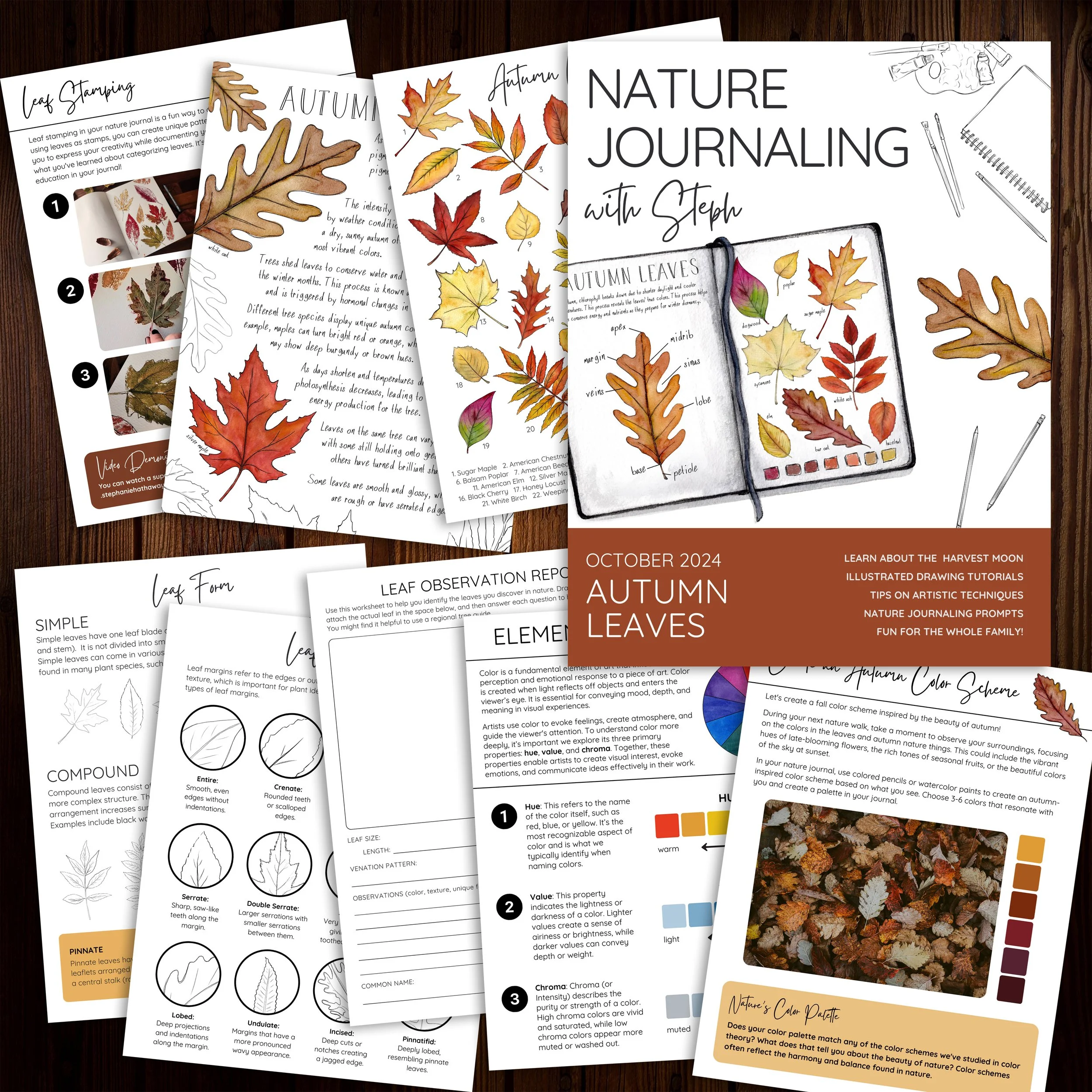 Nature Journaling With Steph Autumn Leaves Stephanie Hathaway Designs