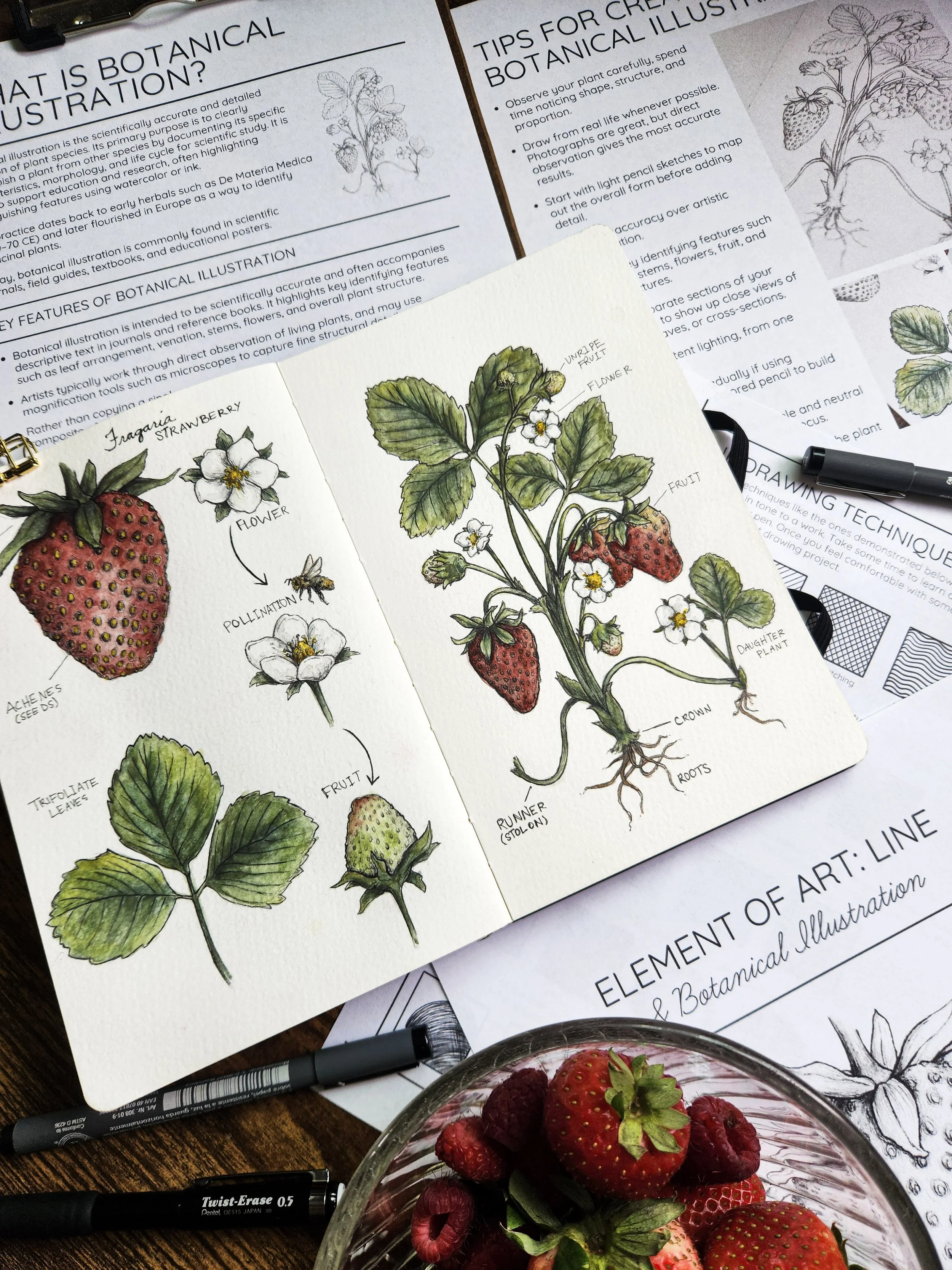 Flat lay of botanical illustration lesson pages beside an open nature journal