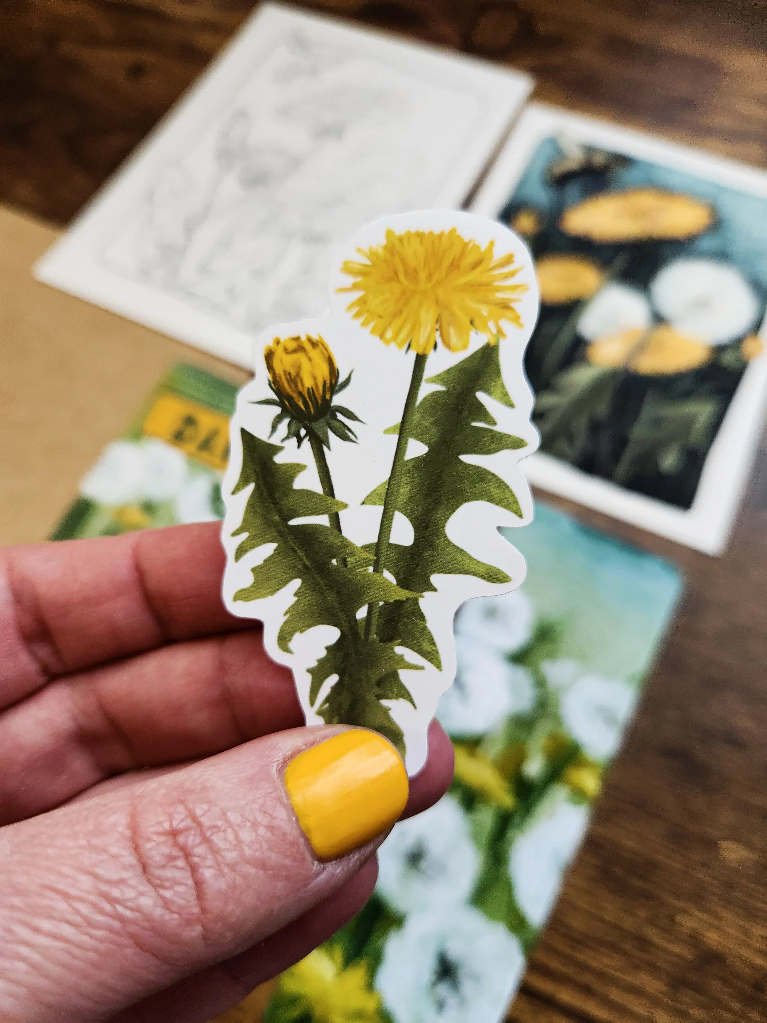 Dandelion sticker being held.