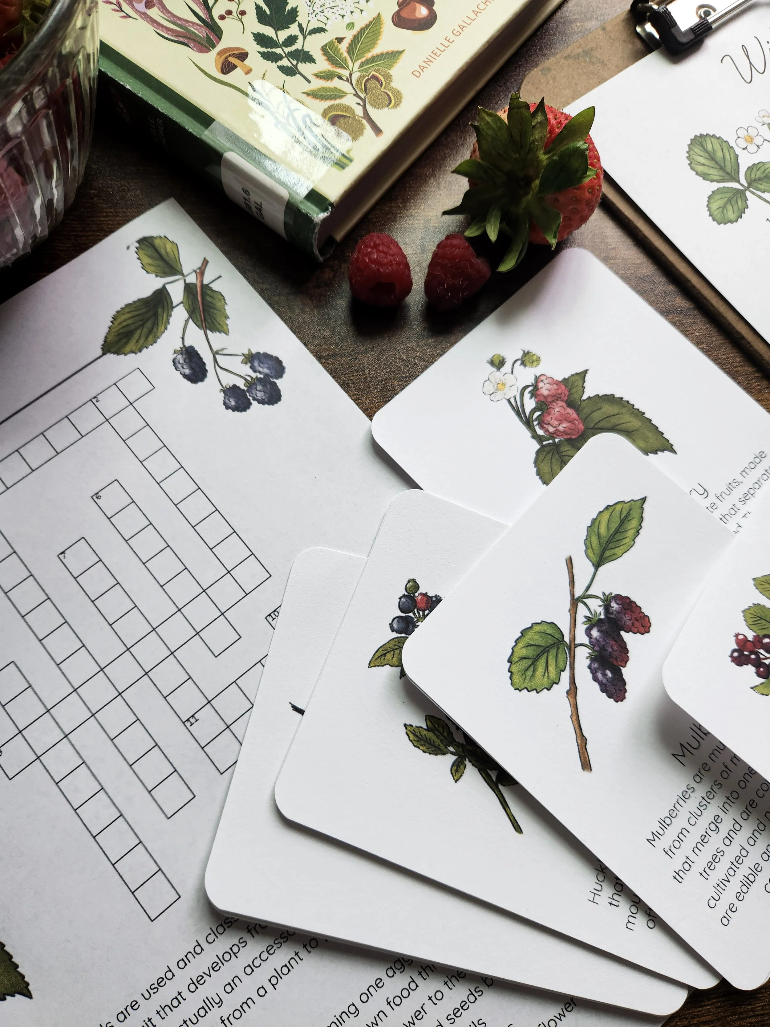 Flat lay of berry-themed crossword puzzle and flashcards