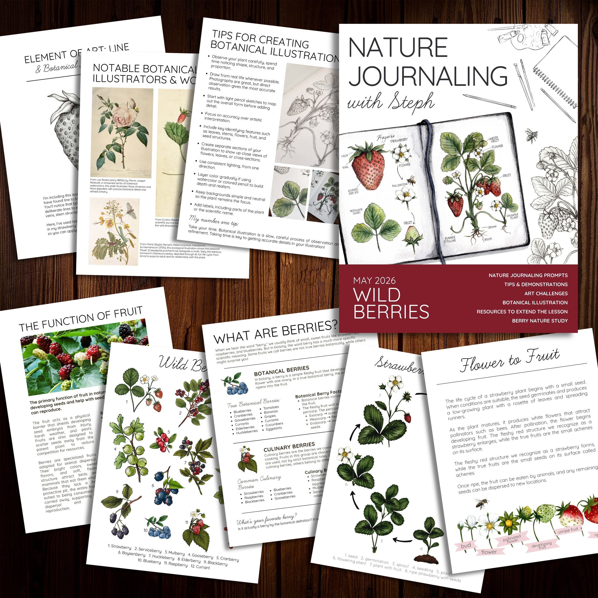 Mockup featuring the cover and interior pages from the wild berries nature study