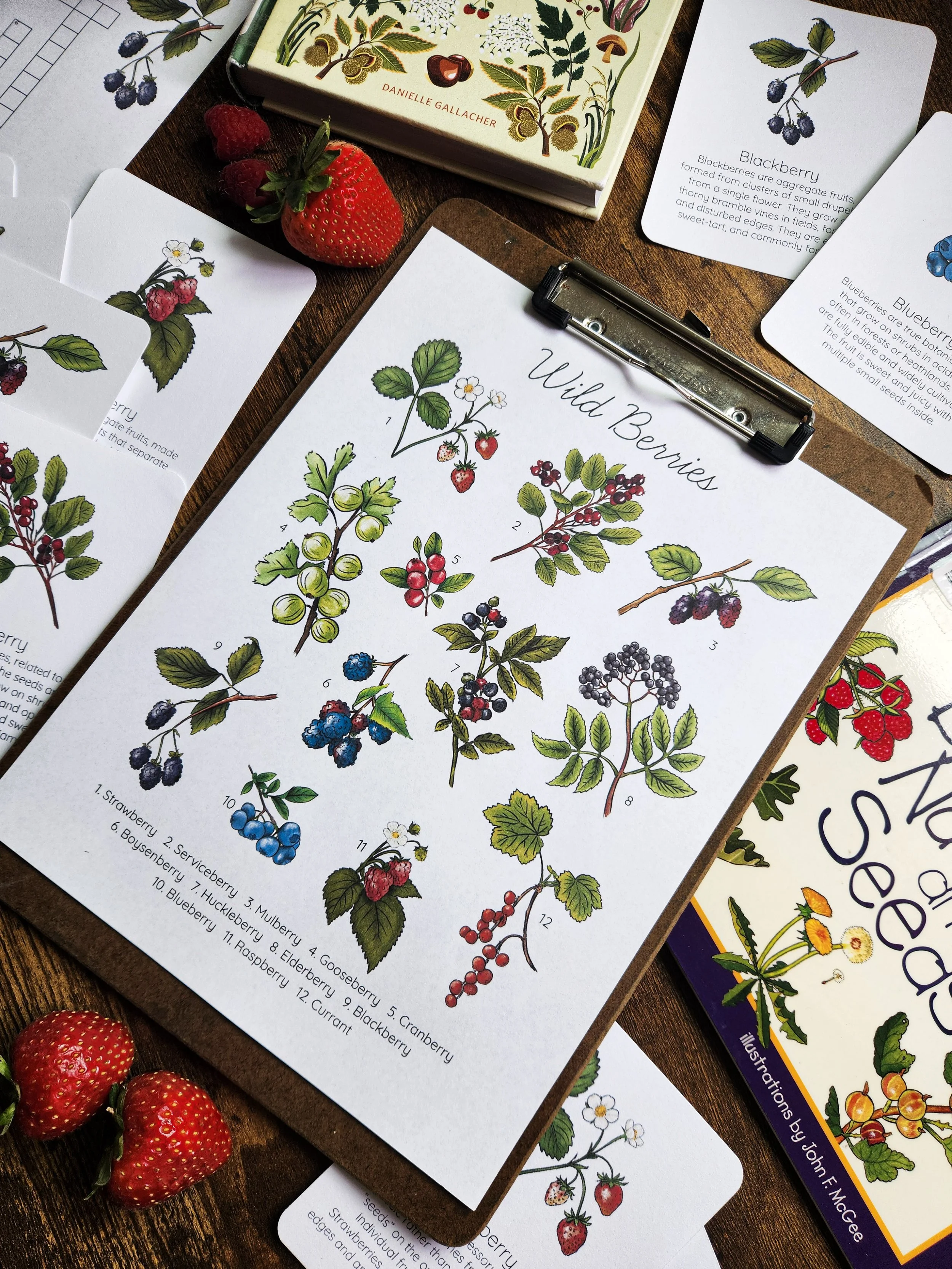Flat lay of berry study poster and berry identification flashcards