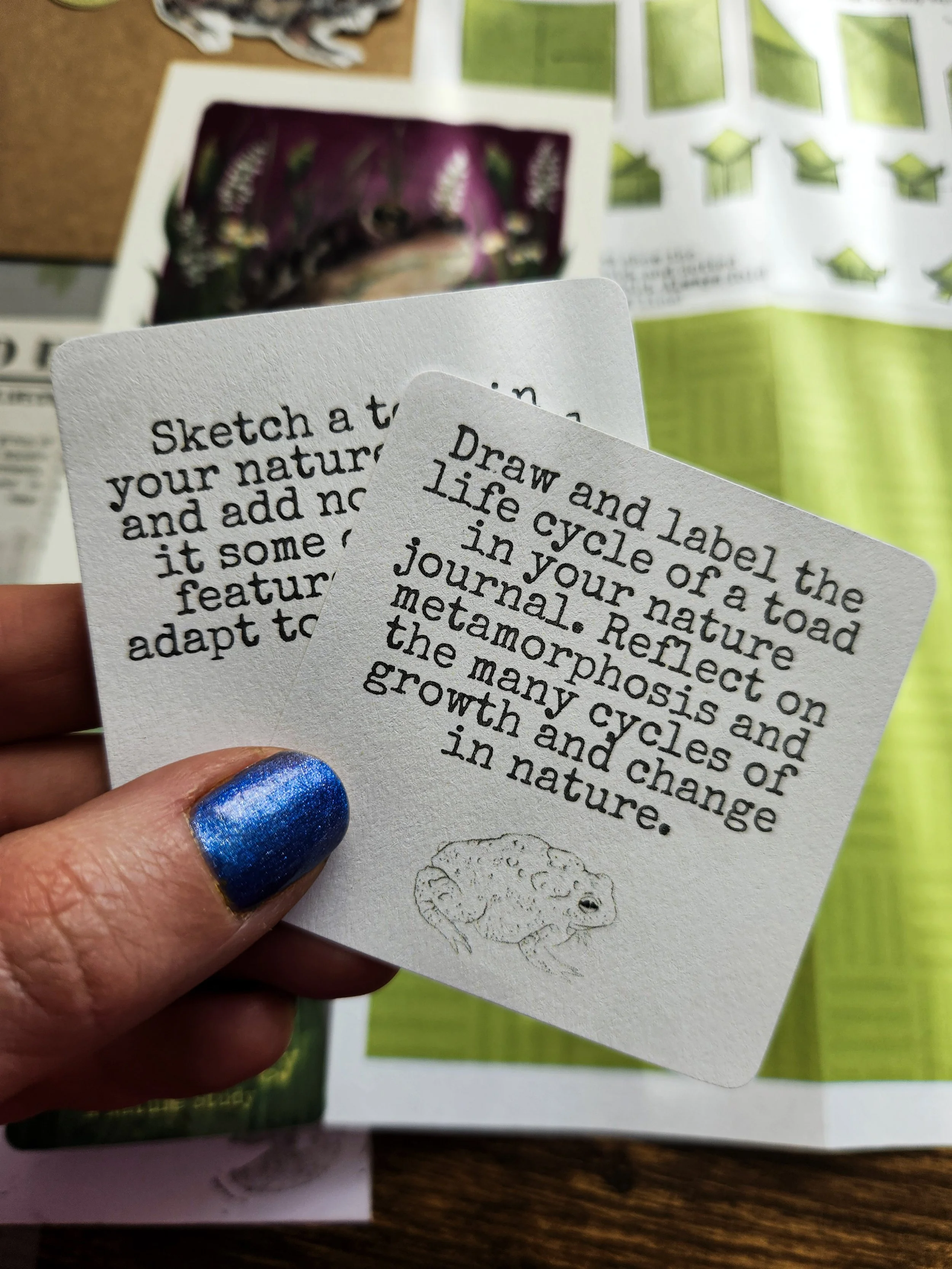 Close-up of nature journaling prompt cards included in the mail club