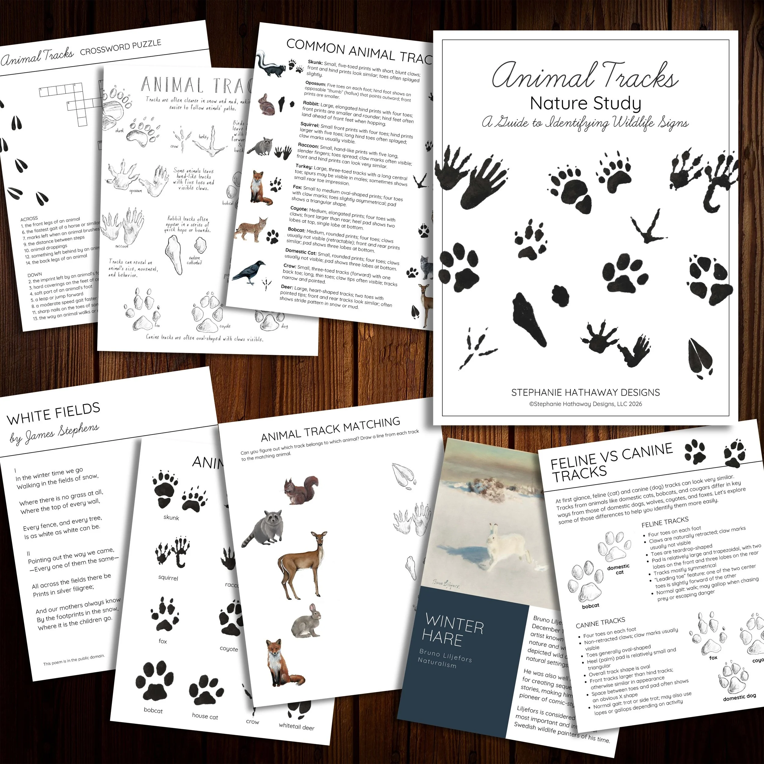 Study materials featuring common animal tracks with descriptions.