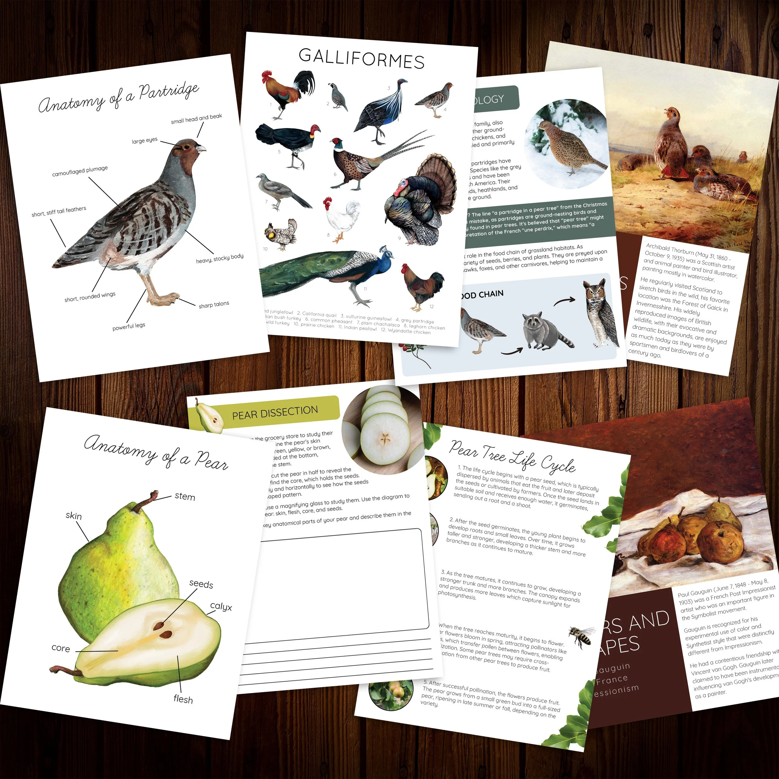 Promo Image Square 8 Partridge Pear.jpg