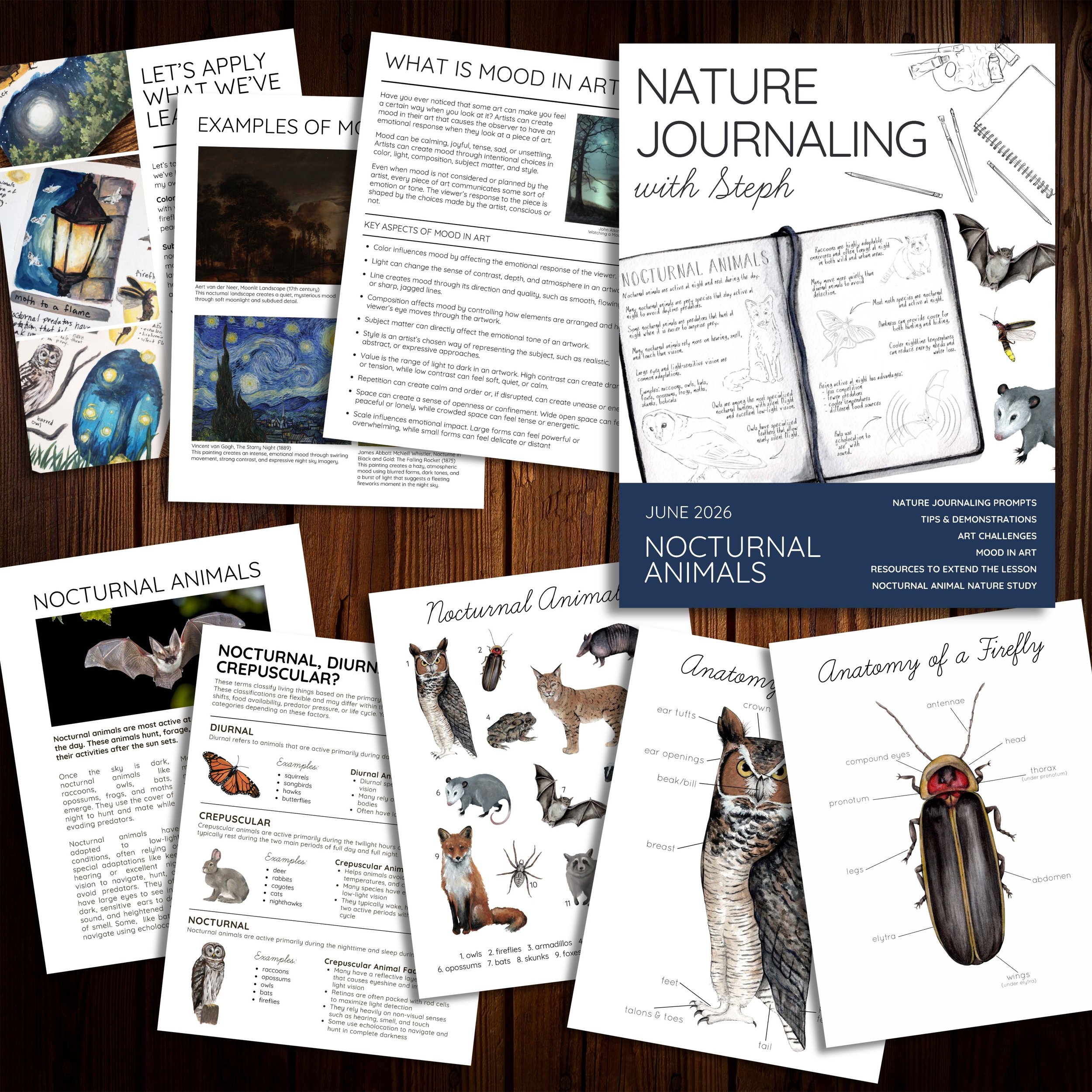 Mock up of nature journaling lesson on mood in art with a topic of nocturnal animals.