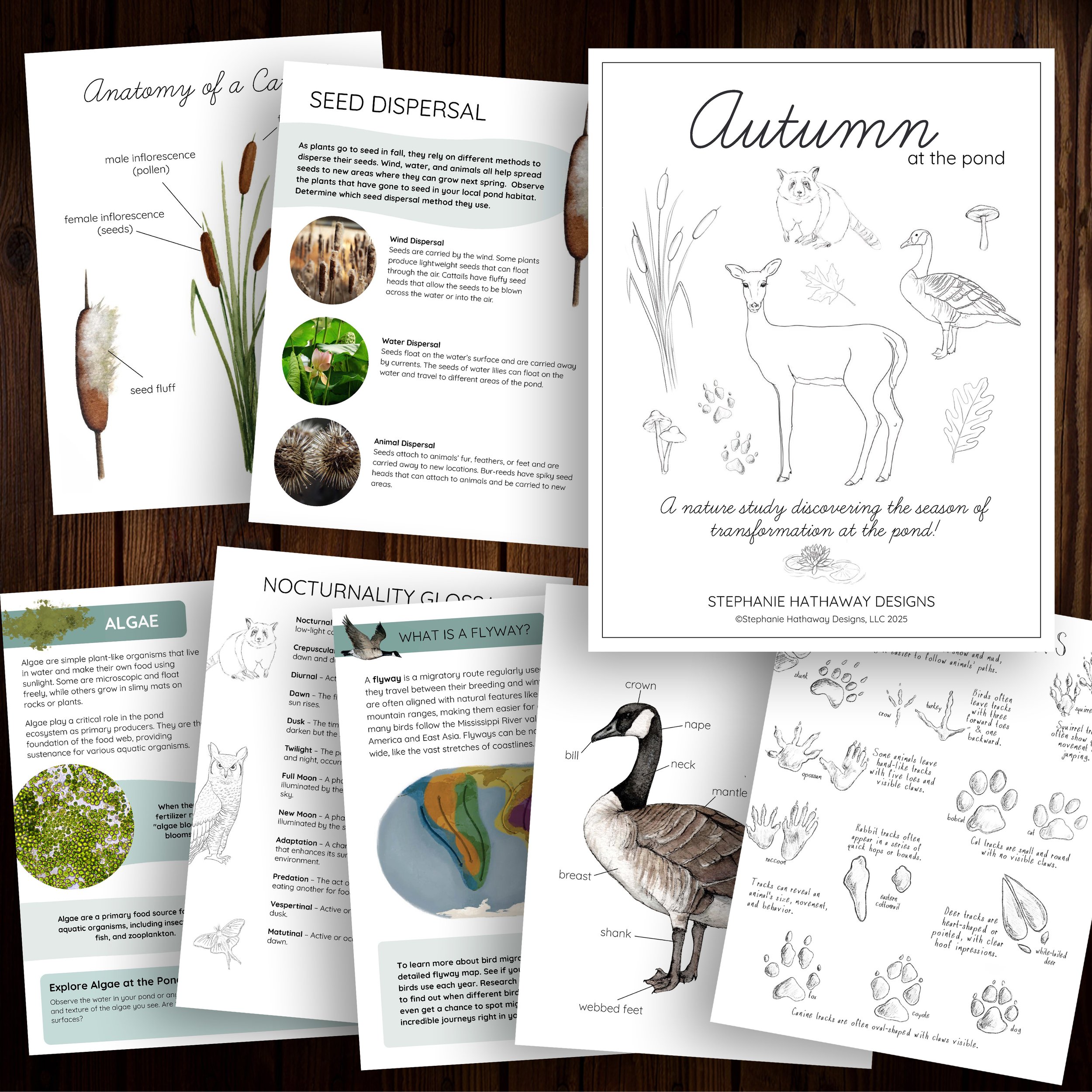 Autumn Promo Image Square.jpg