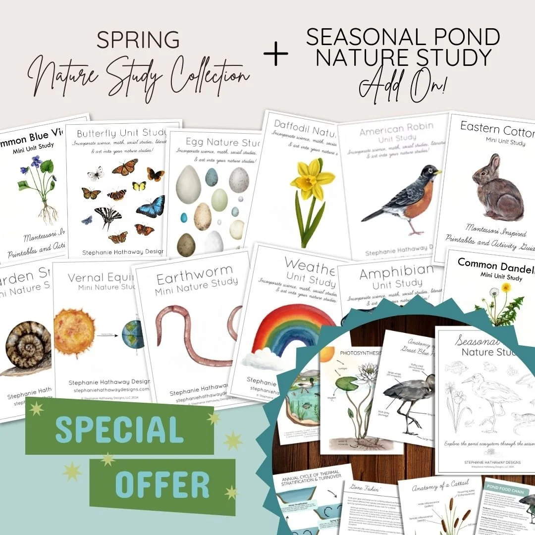 Seasonal Pond Study Add On.jpg