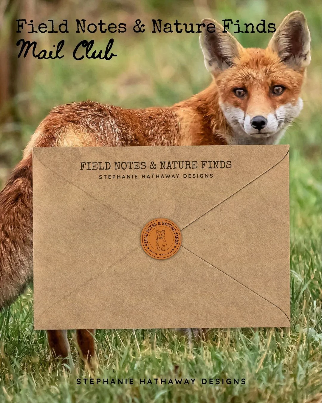 Mock up of August's mail club theme: foxes.