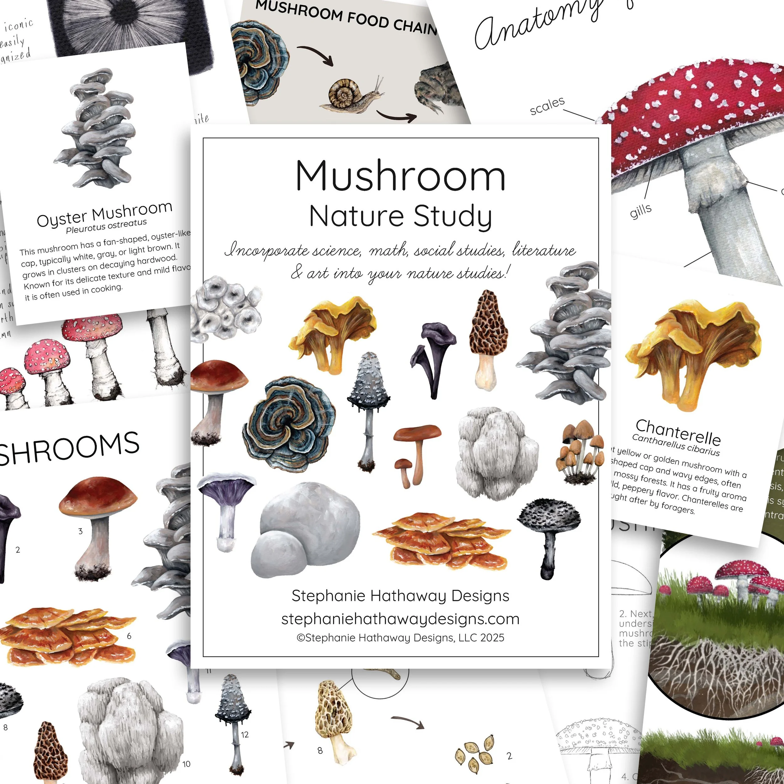 Overview image displaying several pages from the Mushroom Unit Study, including illustrated learning materials.