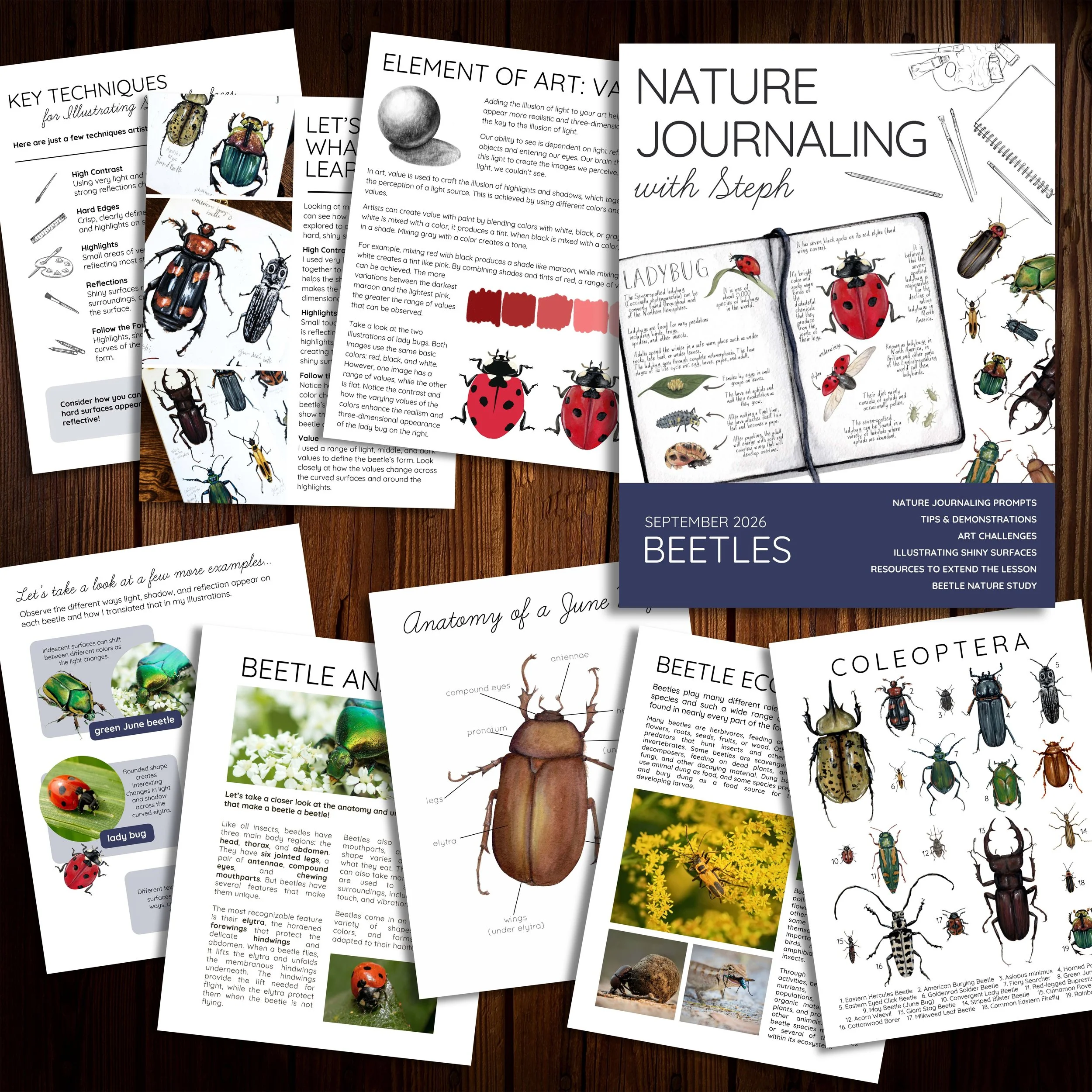 Beetles