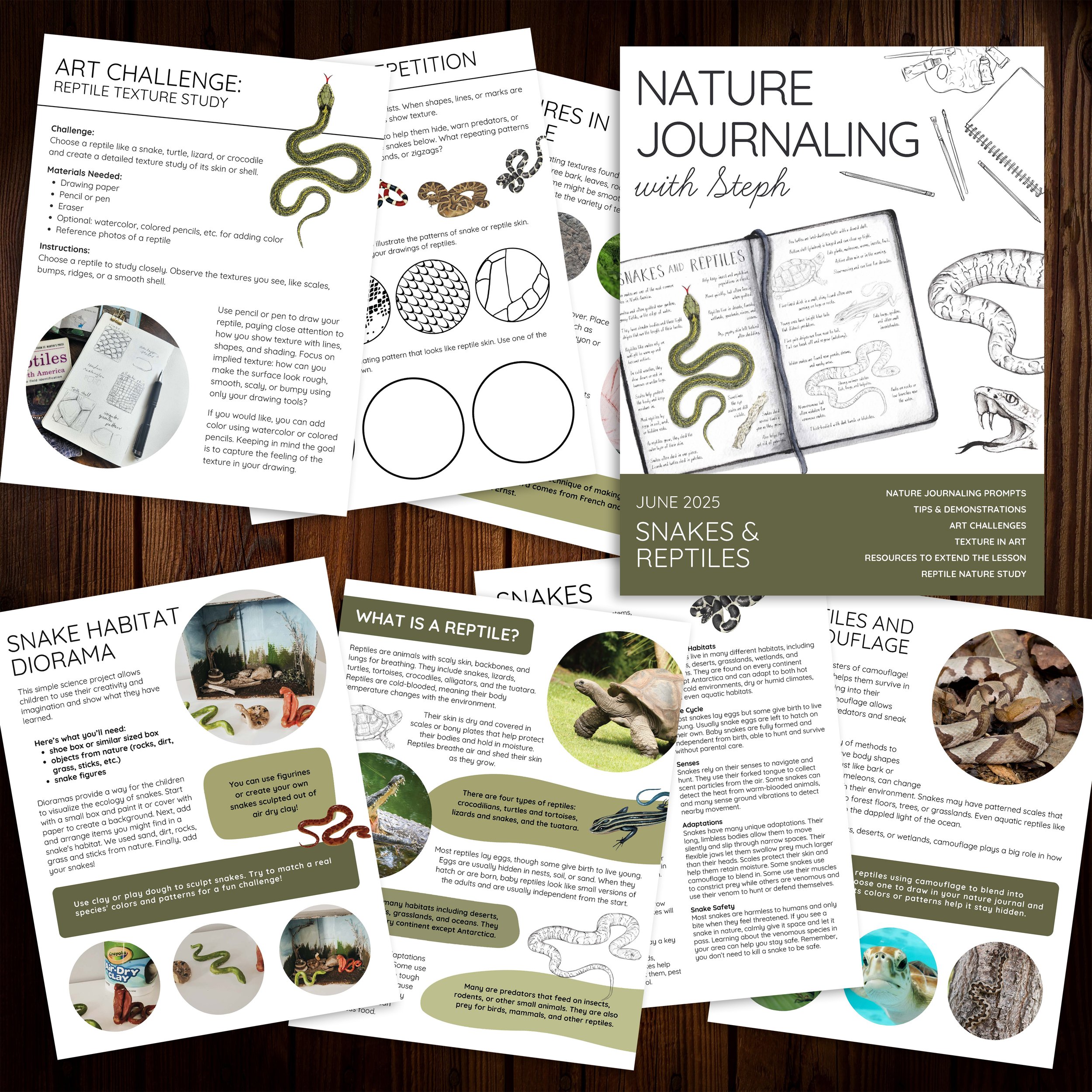 Mockup image of snake-themed nature jounraling lesson.
