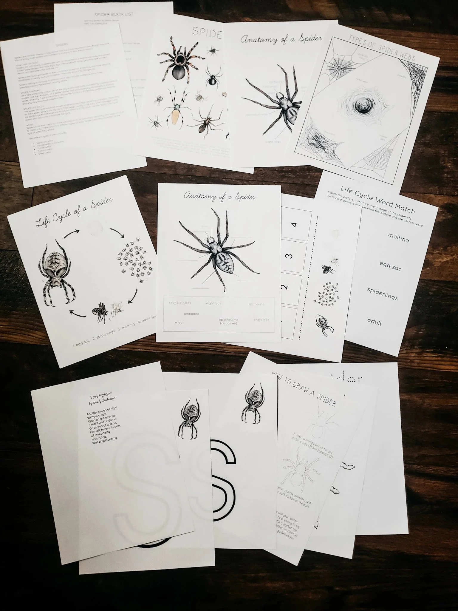 Clipboard_08-27-2025_10.jpg