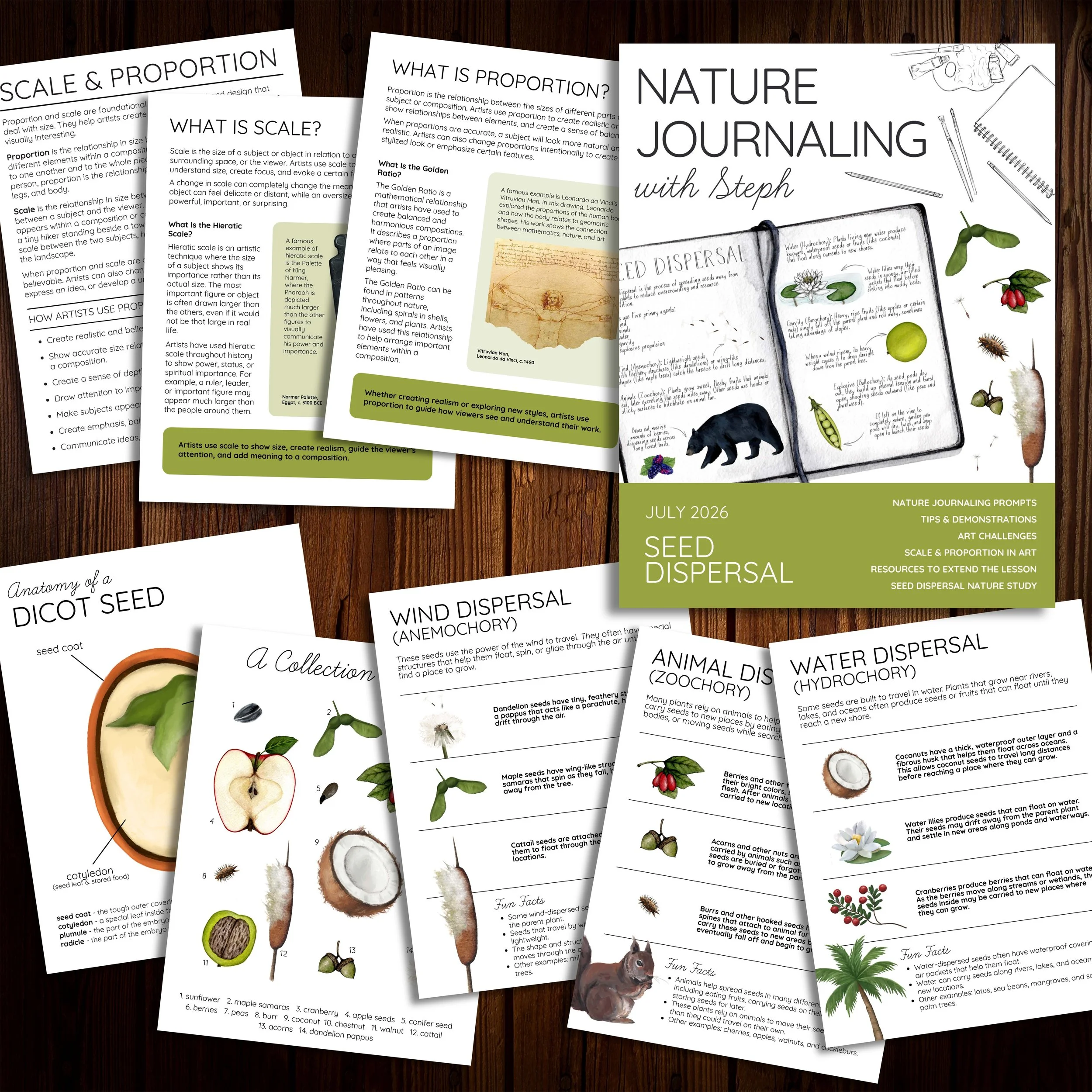 Mockup of the Nature Journaling with Steph seed dispersal lesson cover alongside sample interior pages.