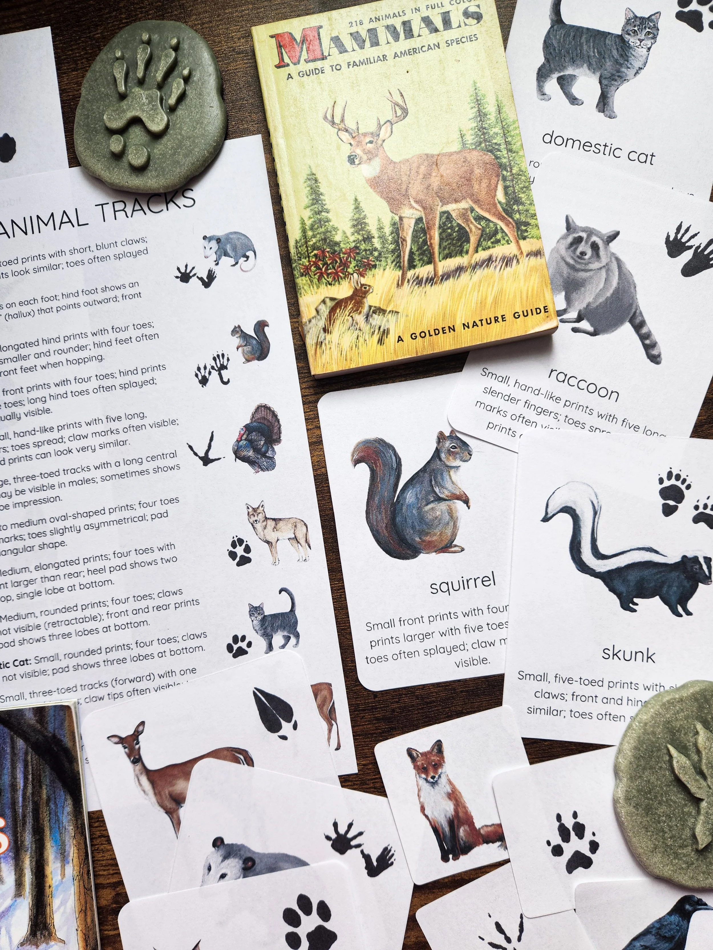 Educational pages showing various animal tracks and their characteristics.