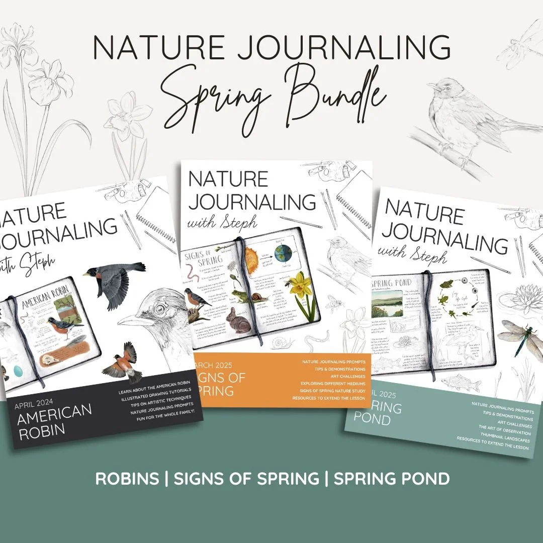 Nature Journaling Spring Bundle