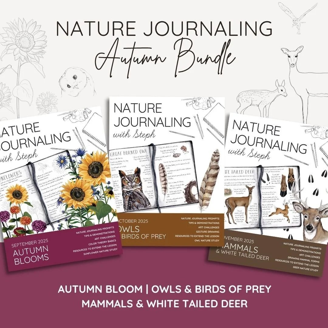 Autumn Nature Journaling Listing Image 2025.jpg