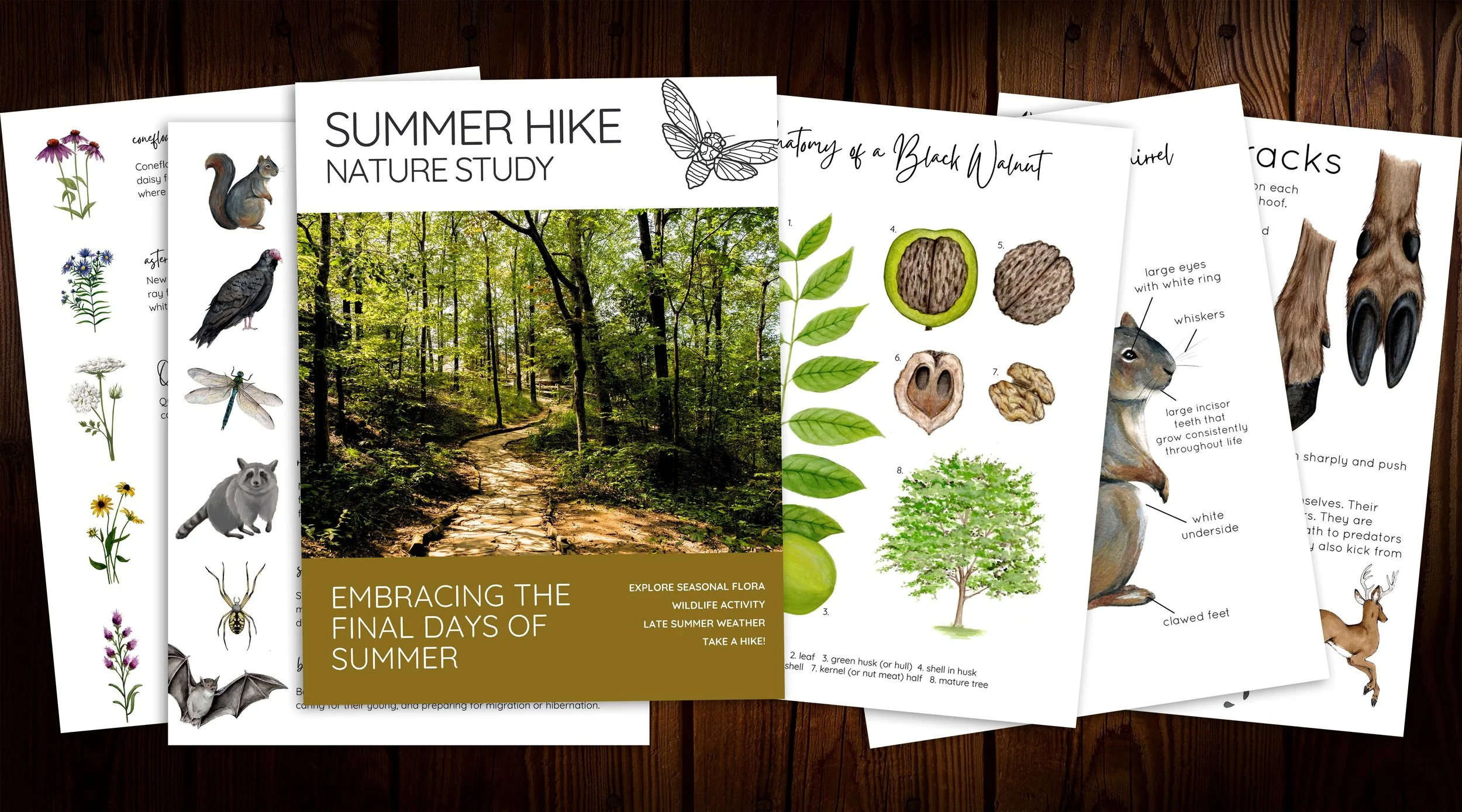 Summer Hike Study.jpg