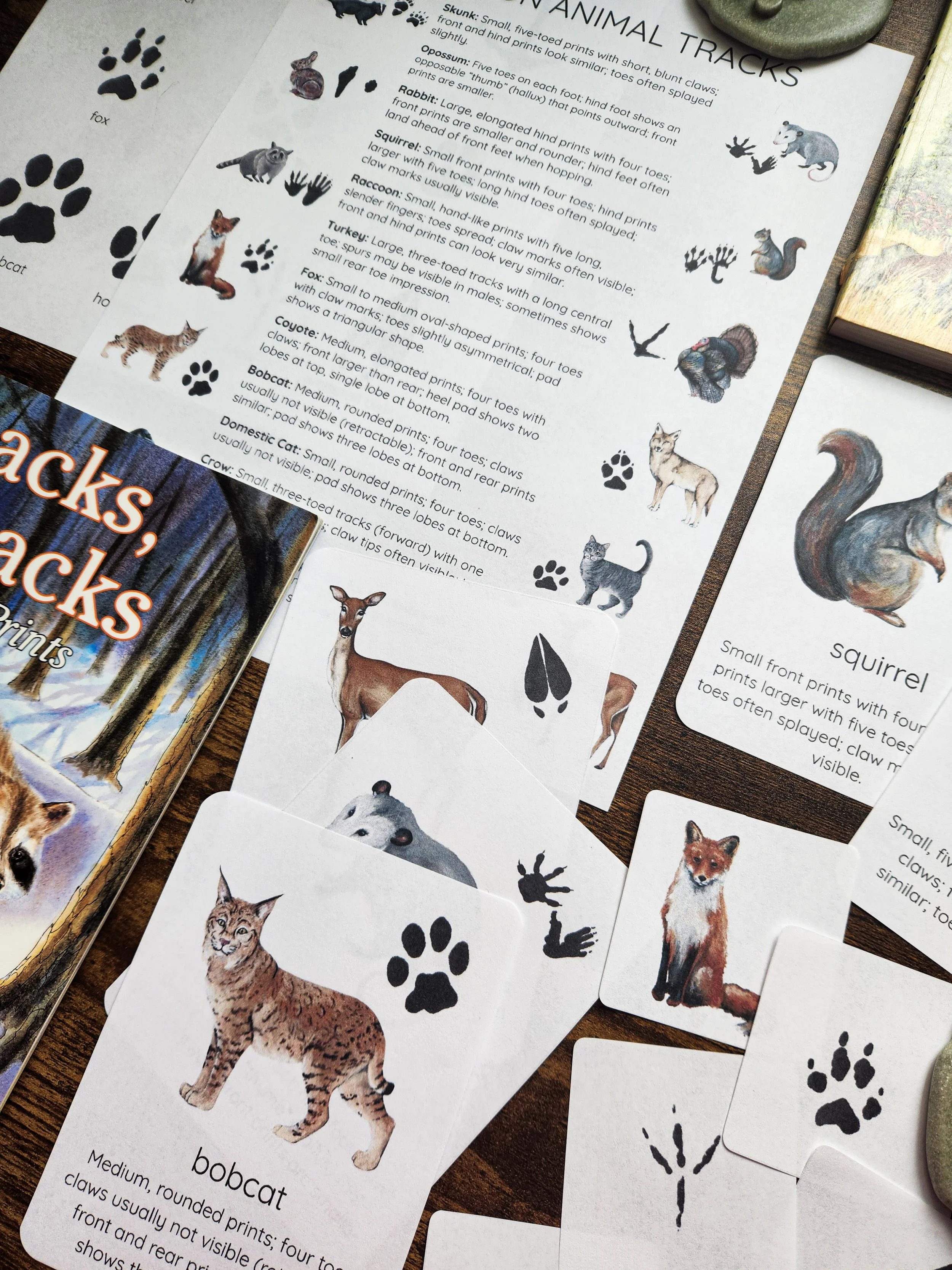 Pages from the study featuring animal tracks, signs, and learning activities.