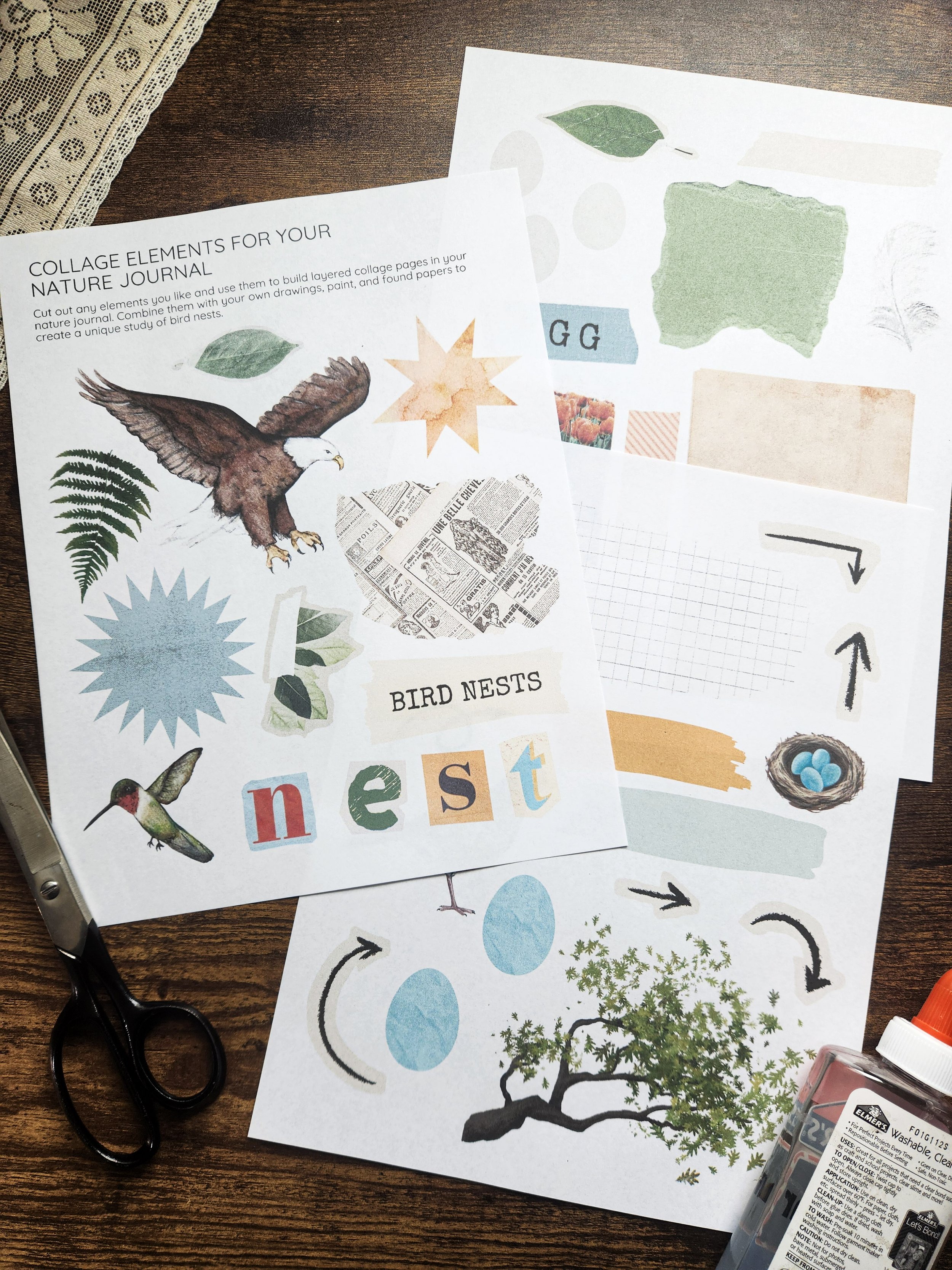 Collage elements for students to cut and use in their projects.