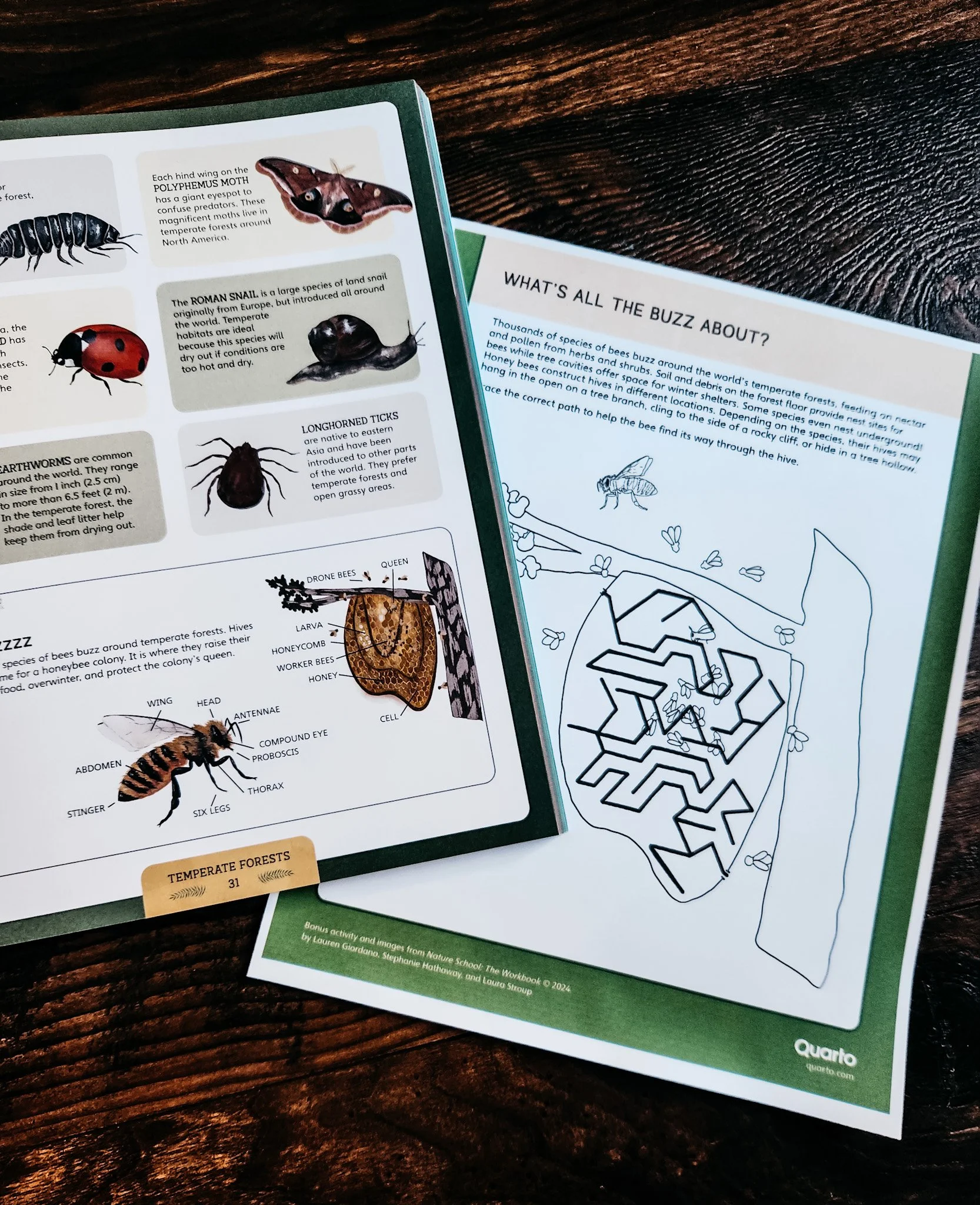 Nature School: The Book & Workbook | Stephanie Hathaway Designs ...