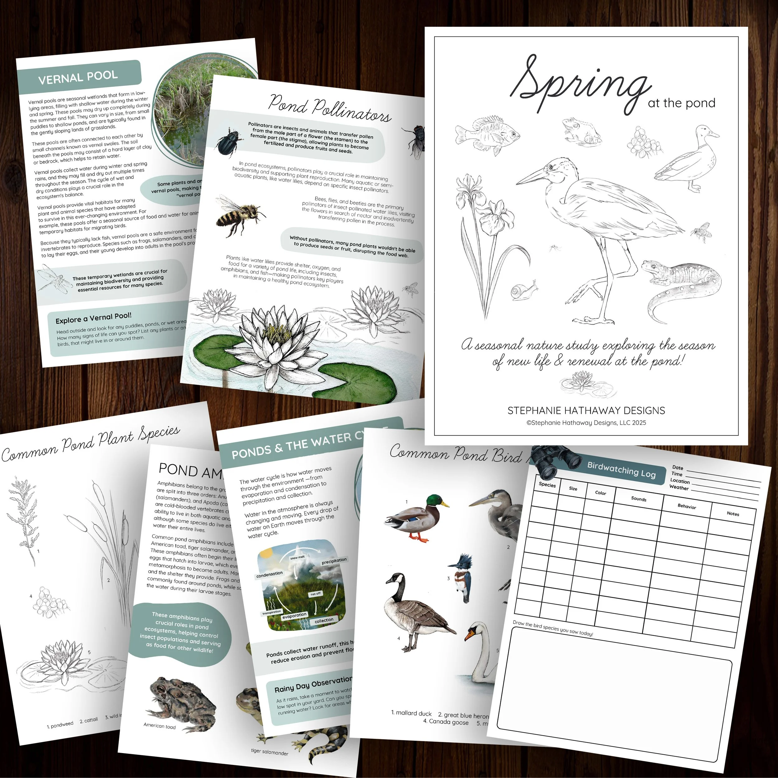 Spring Promo Image Square.jpg