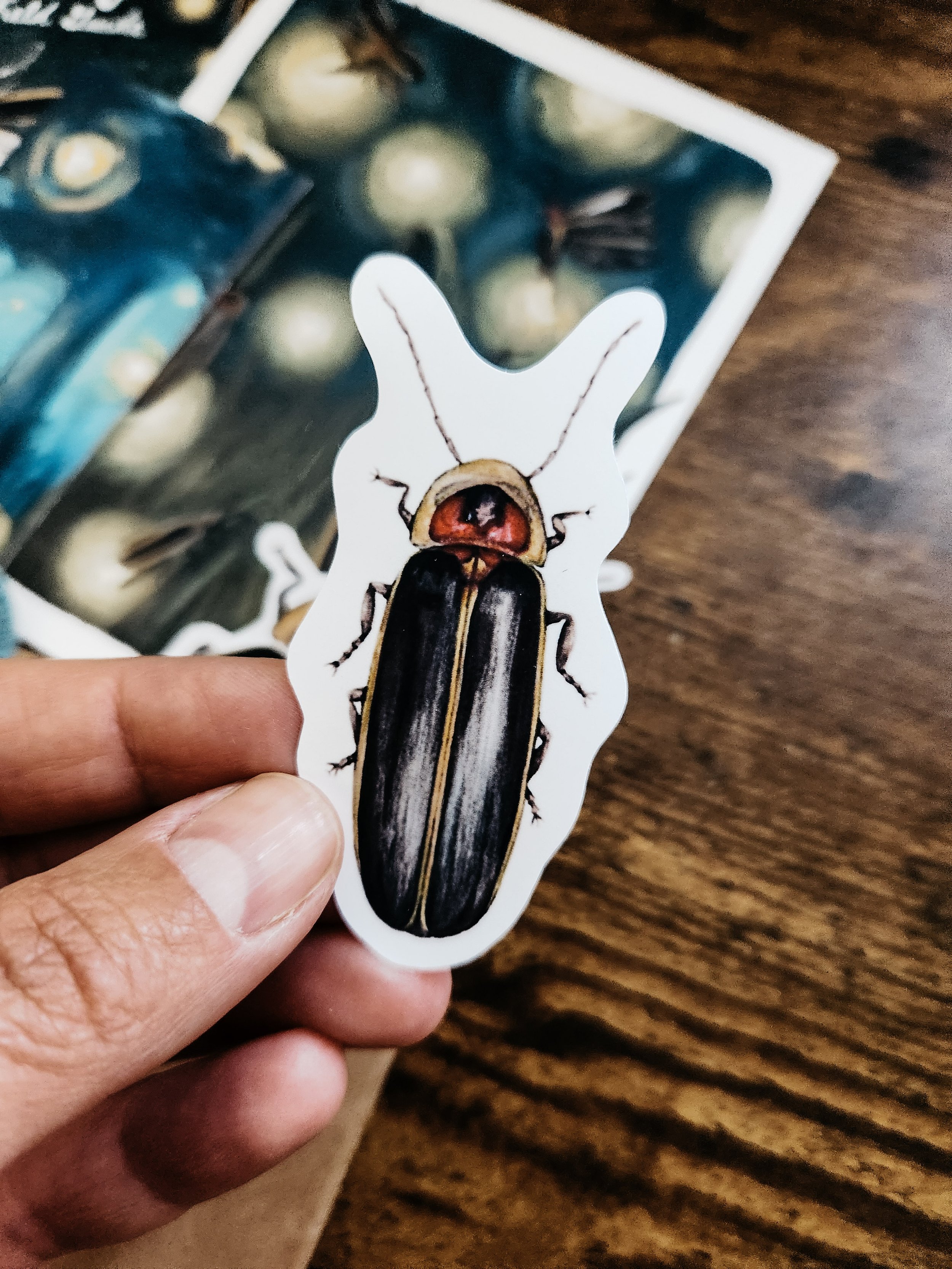 Matte vinyl sticker featuring an illustrated firefly