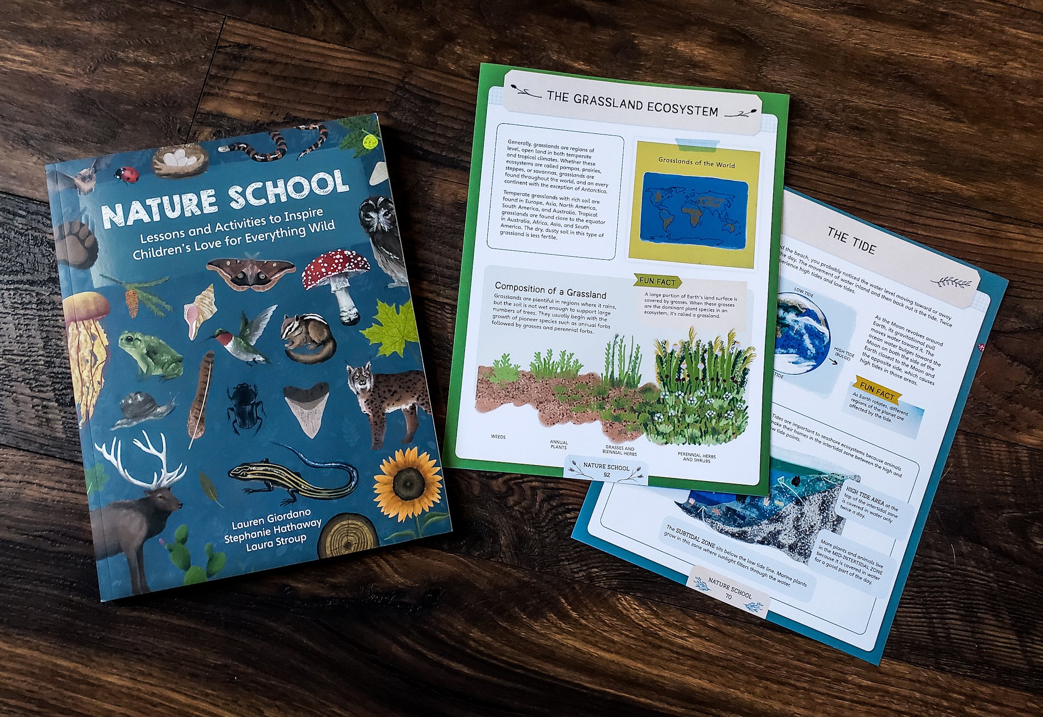 Nature School: Lessons and Activities to Inspire 