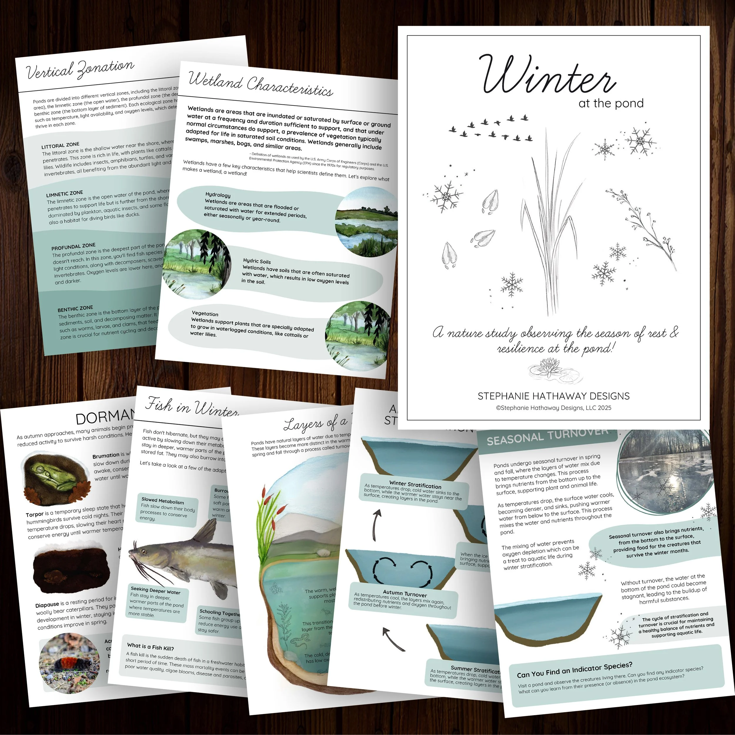 Winter Promo Image Square.jpg